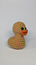 Spring Duck