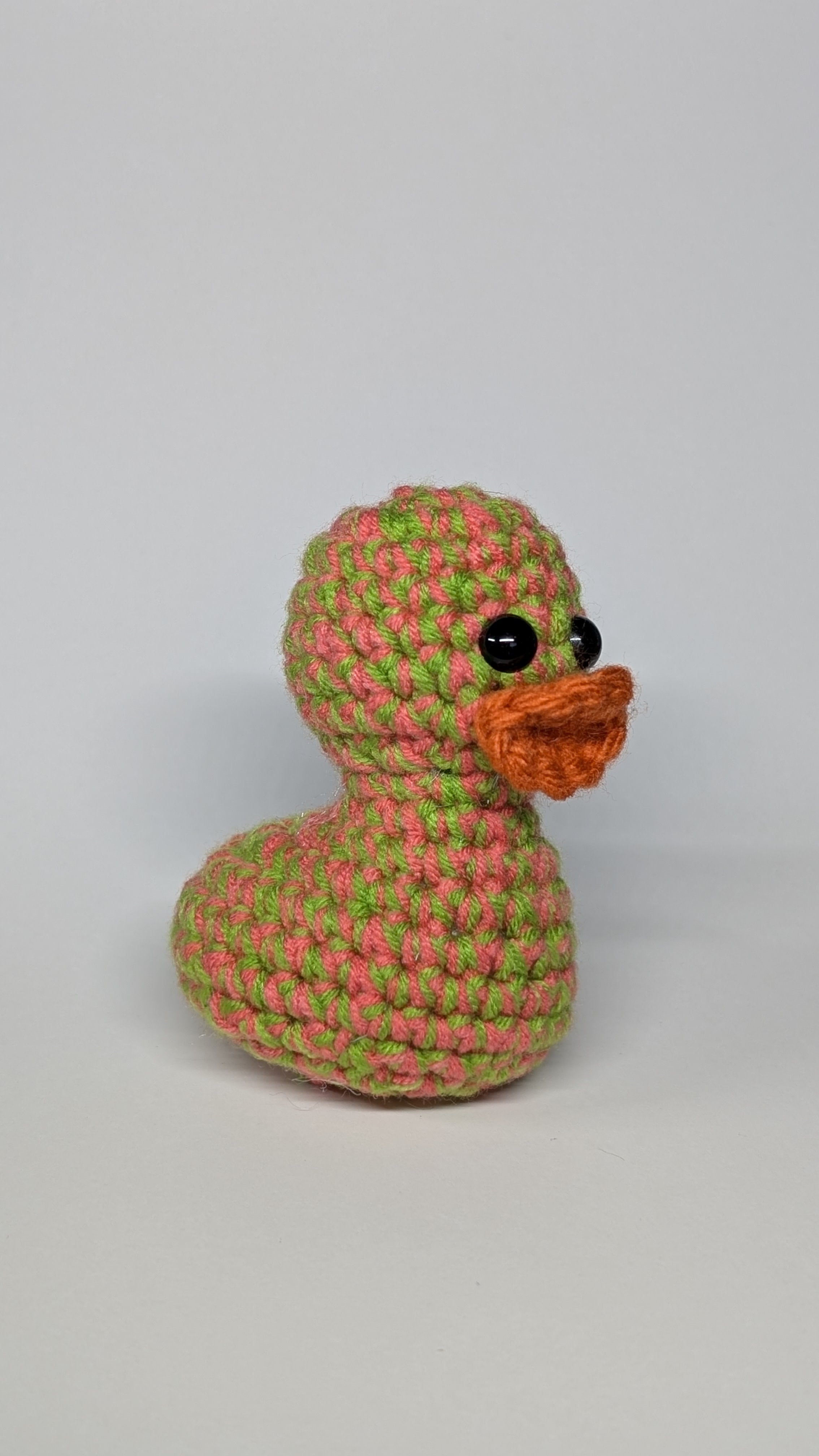 Spring Duck