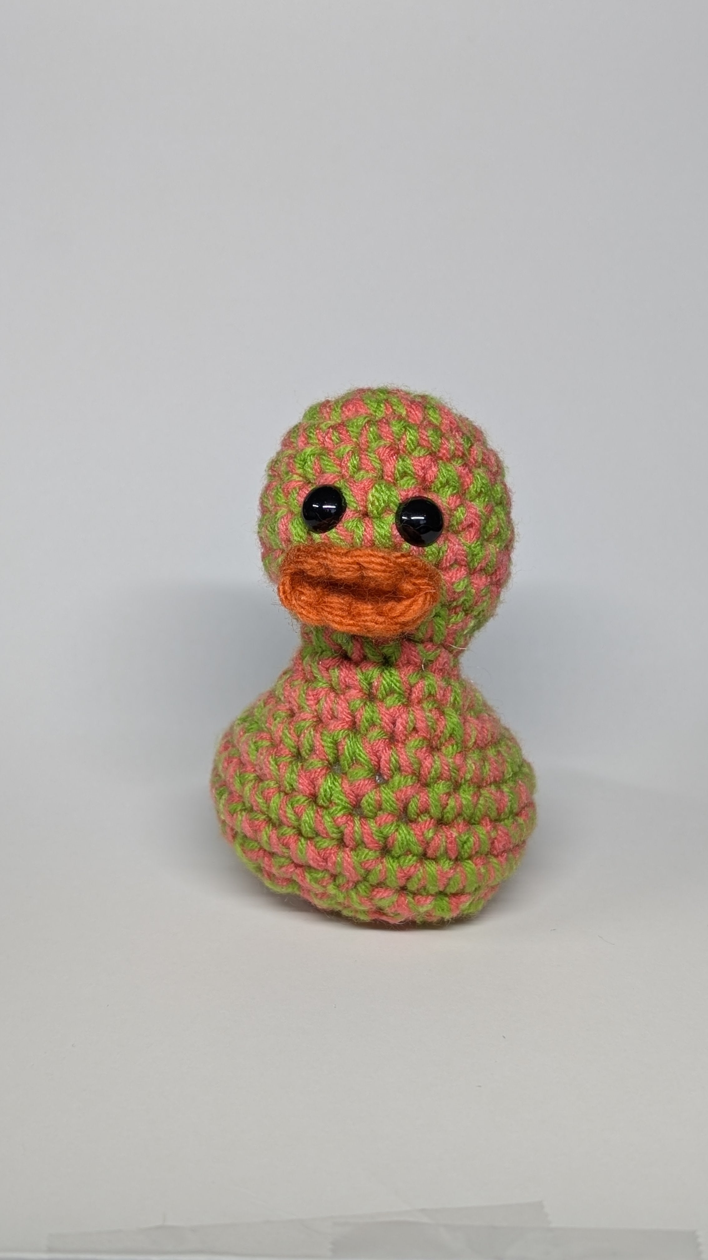 Spring Duck