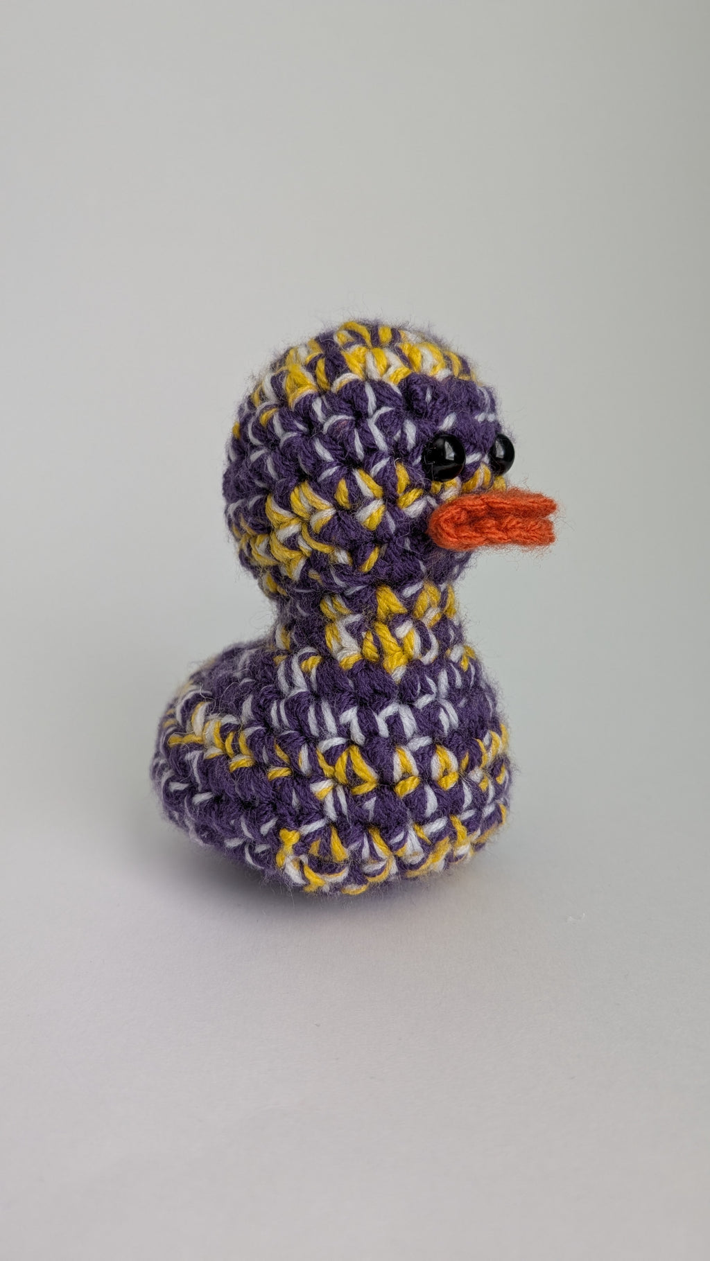 Minnesota Duck