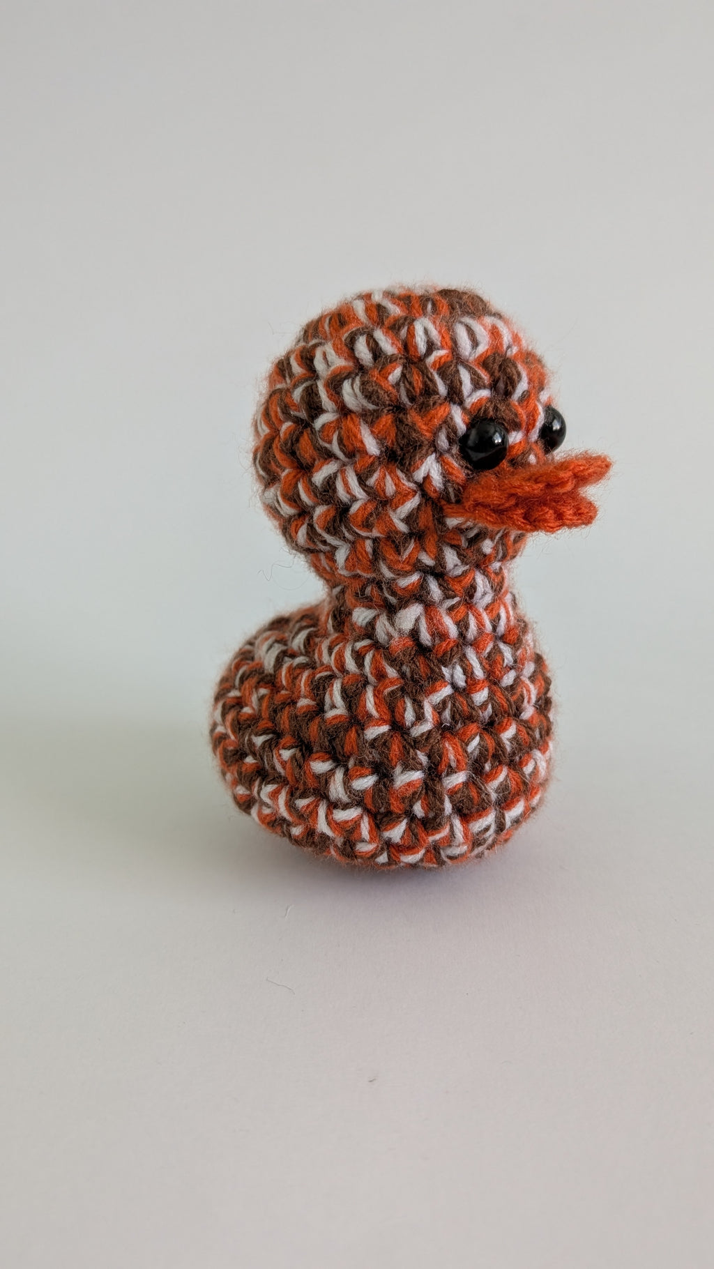 Cleveland Duck
