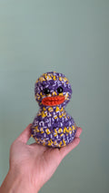 Minnesota Duck