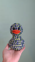 Seattle Duck