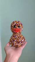 Washington Duck