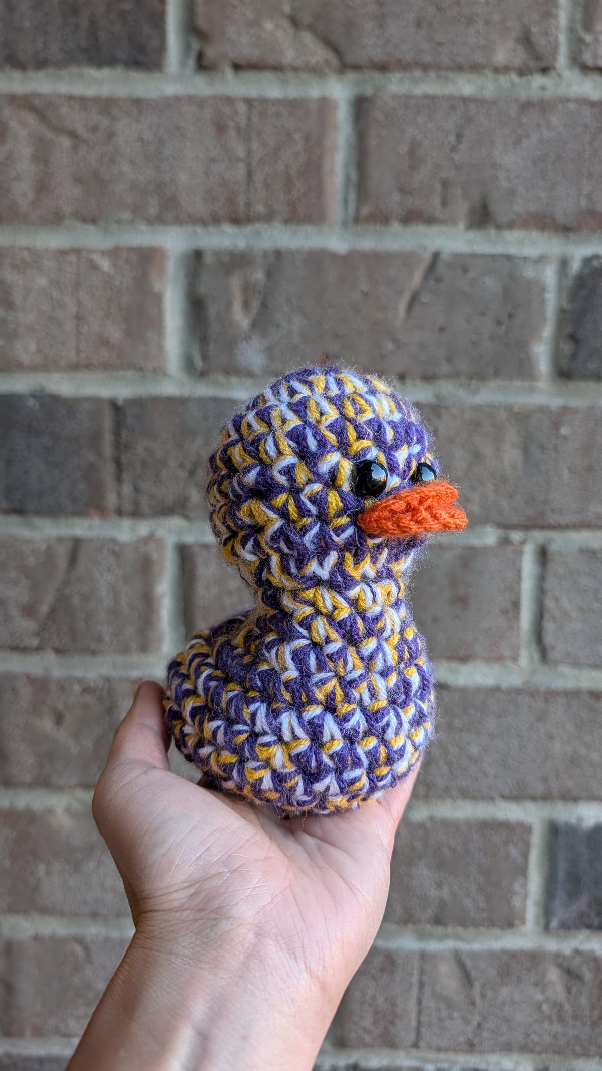 Minnesota Duck