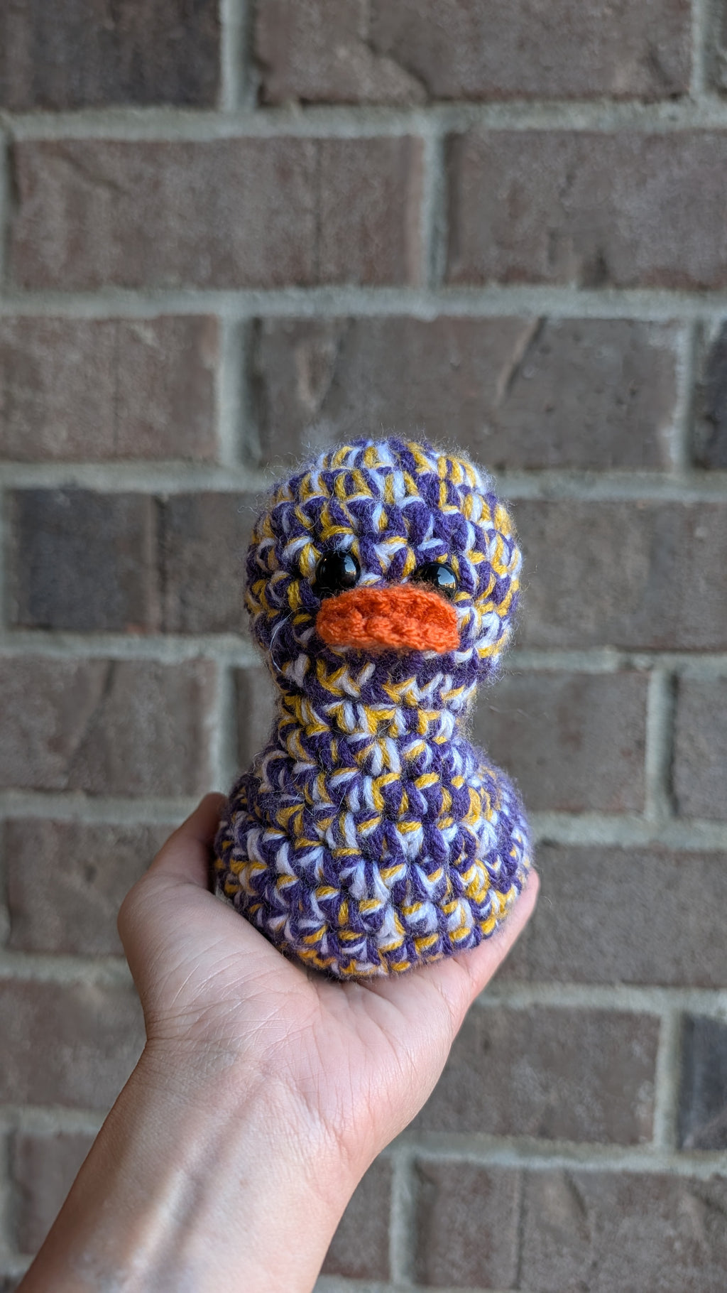 Minnesota Duck