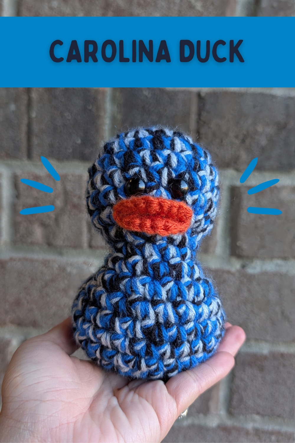 Carolina Duck