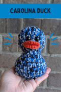 Carolina Duck