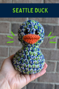 Seattle Duck