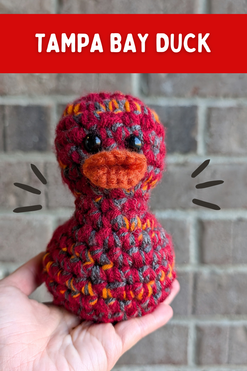 Tampa Bay Duck