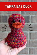 Tampa Bay Duck