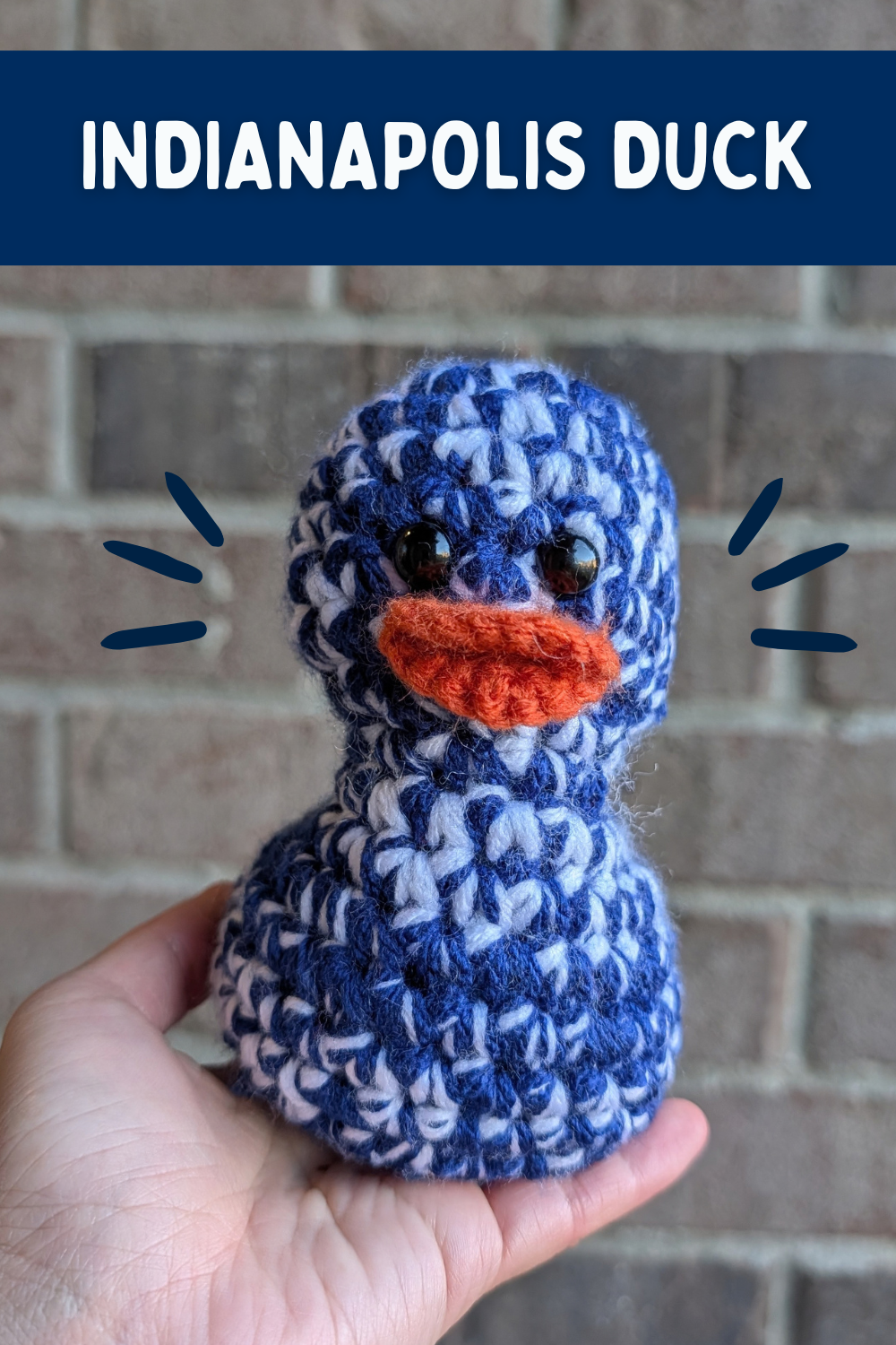 Indianapolis Duck