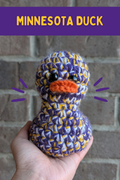 Minnesota Duck