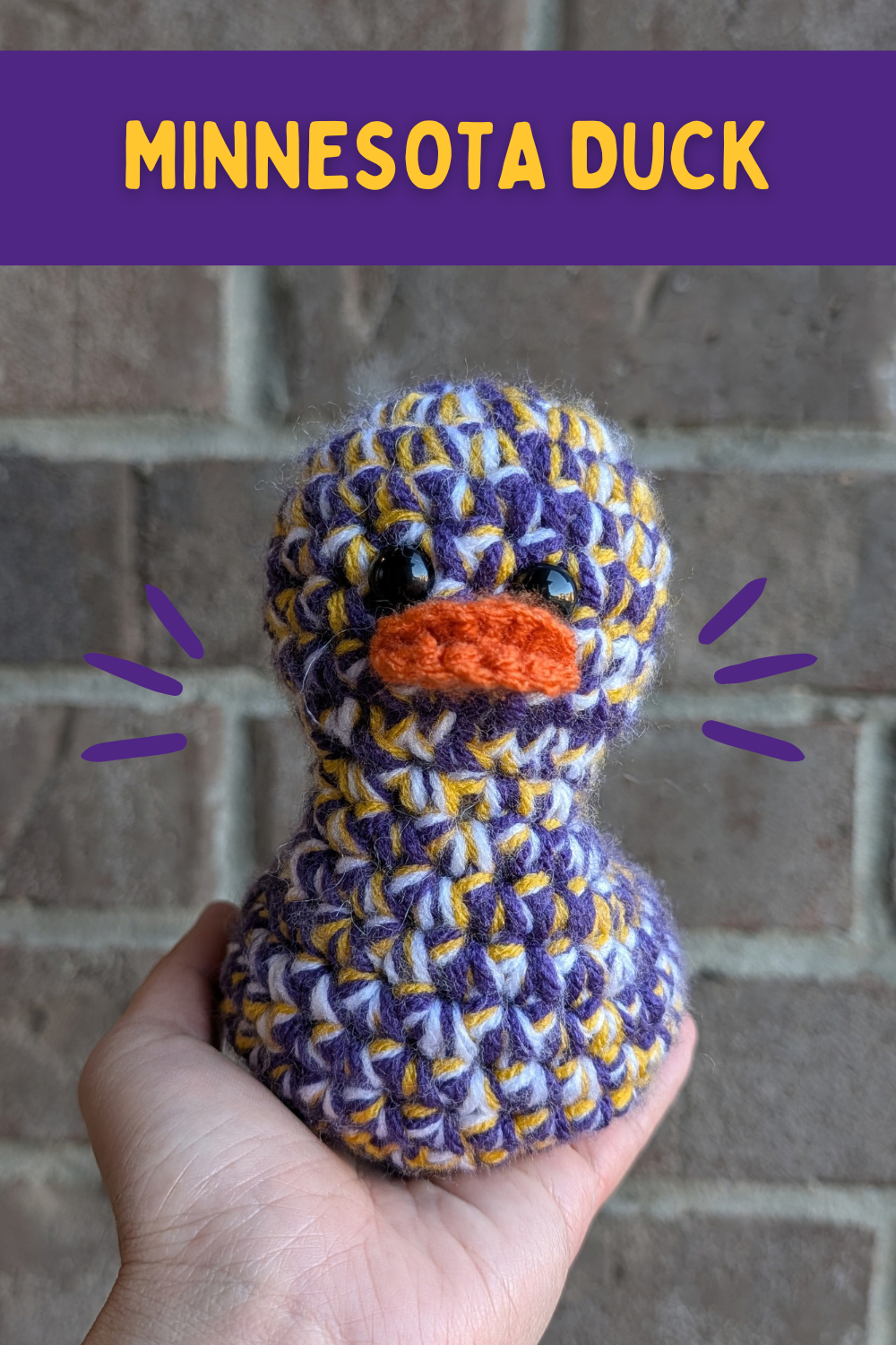 Minnesota Duck