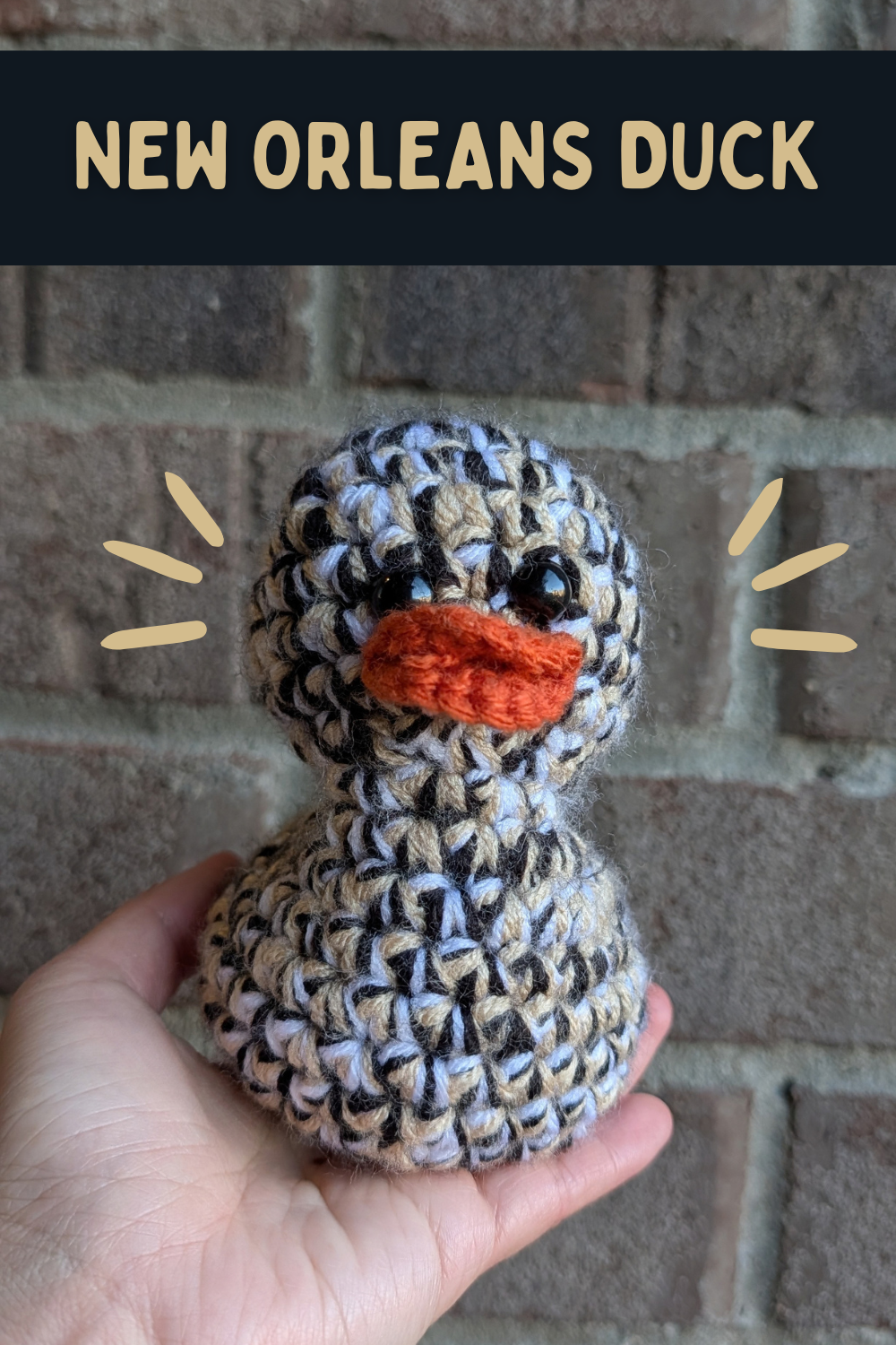 New Orleans Duck