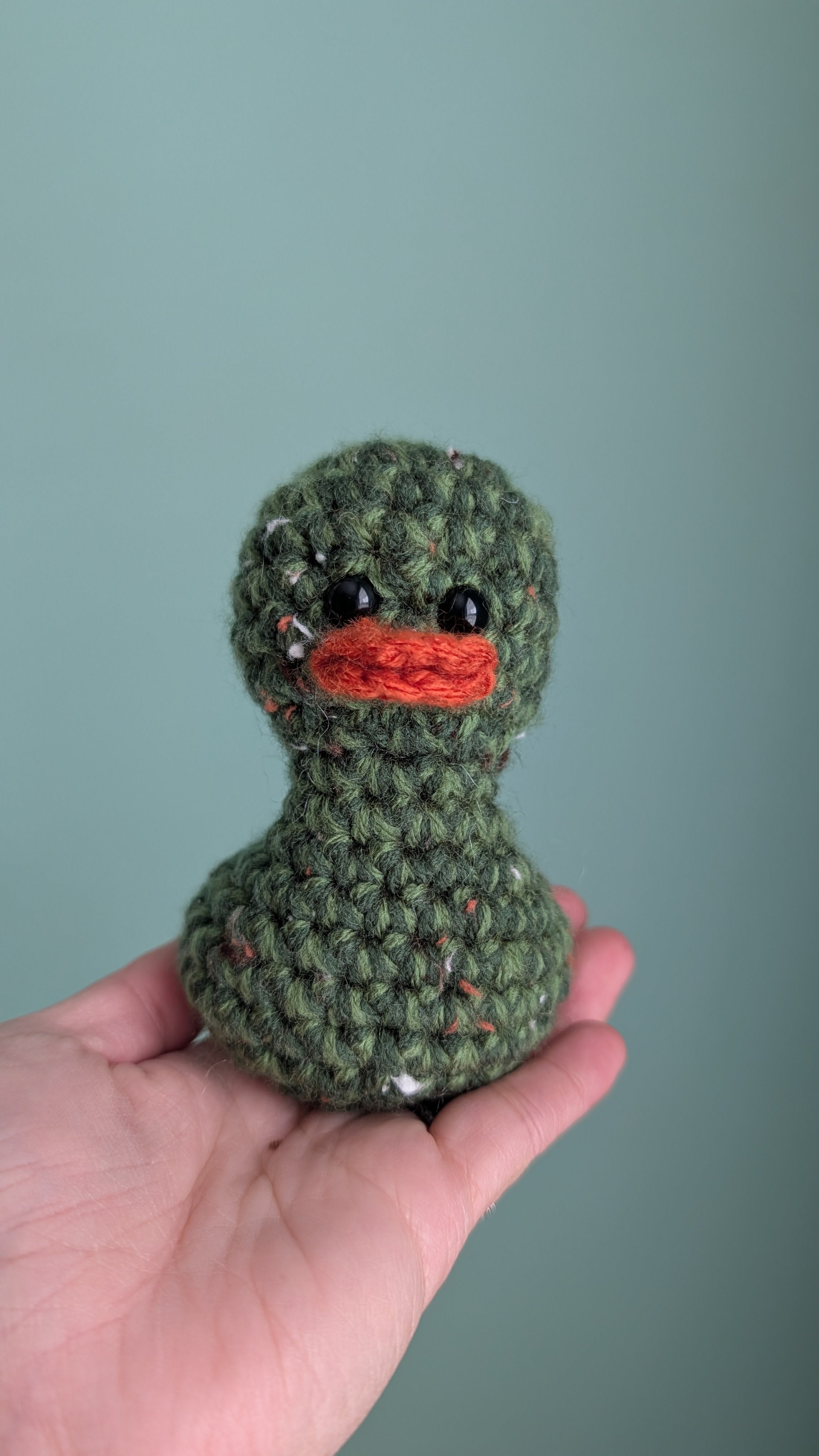 Forest Duck