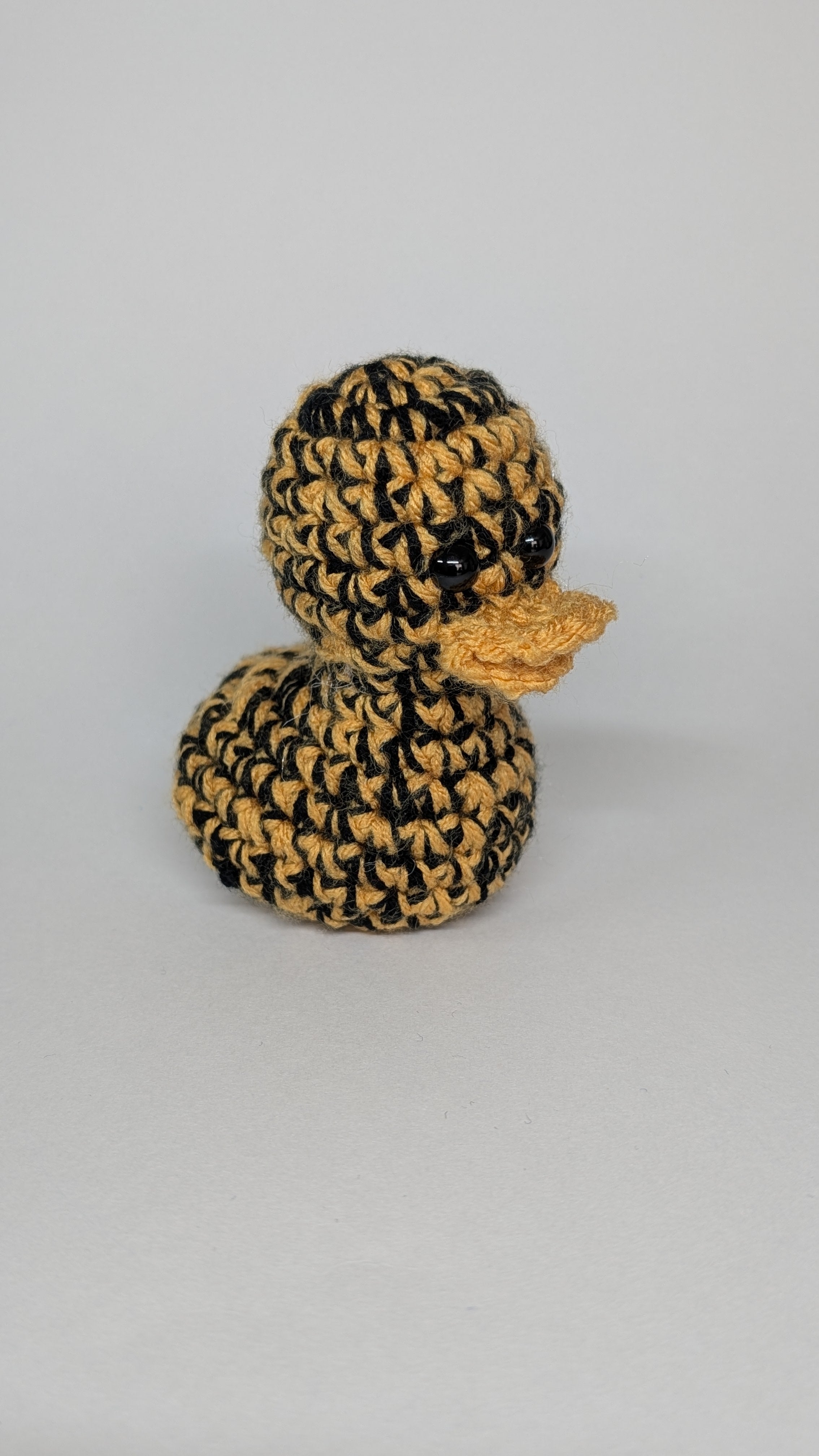 House Ducks