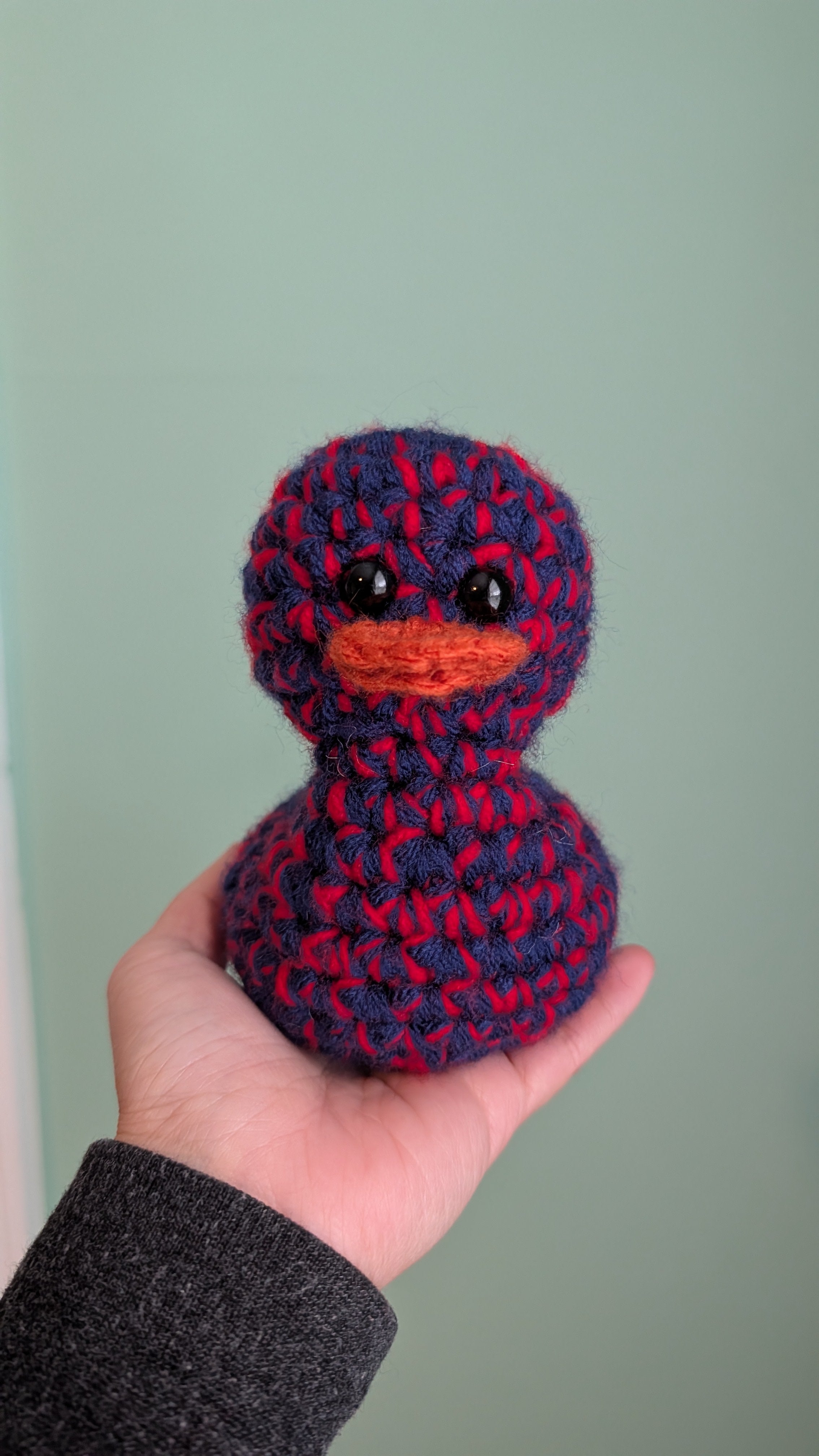 Houston Duck