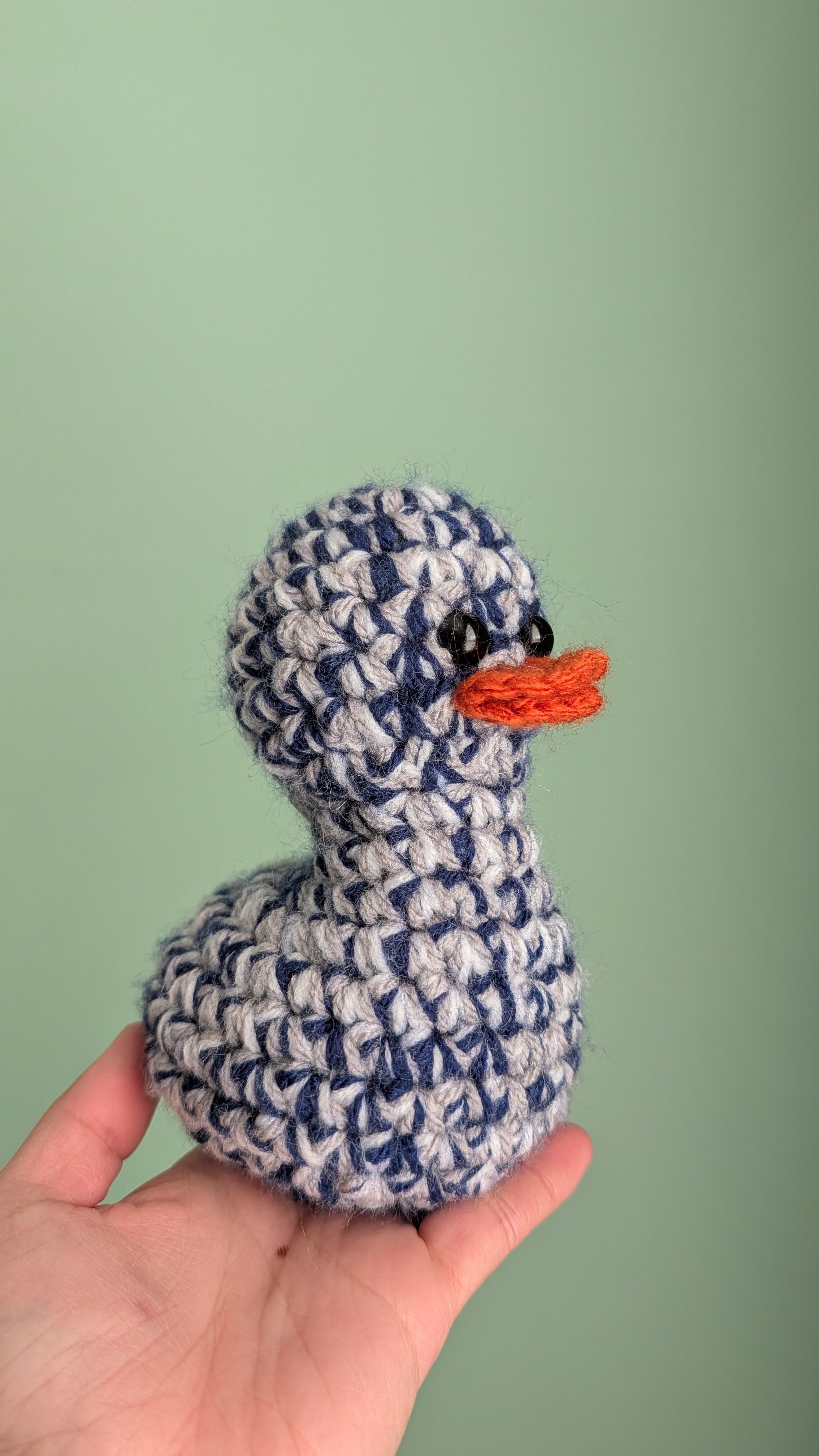 Dallas Duck