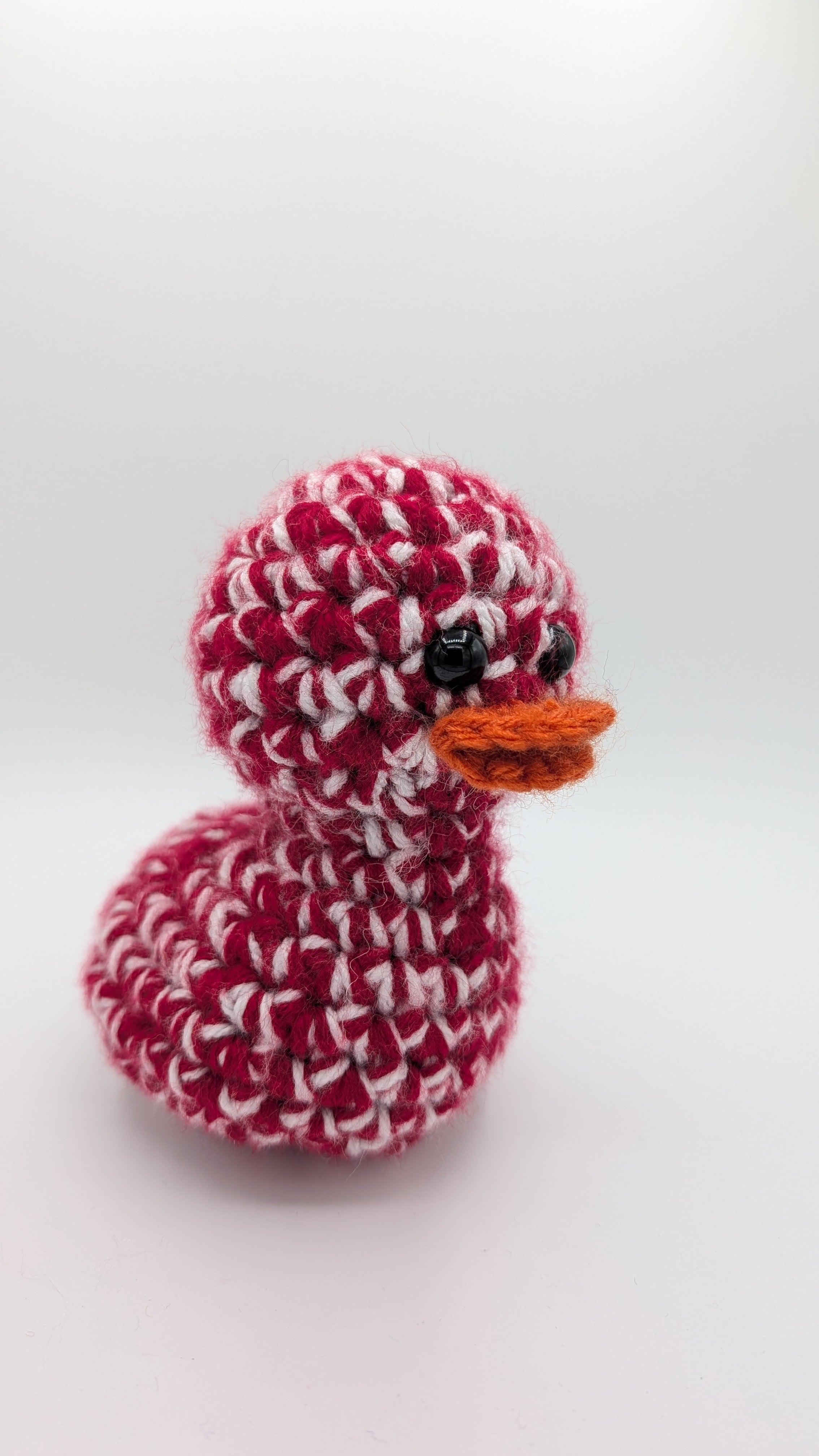 Arizona Duck