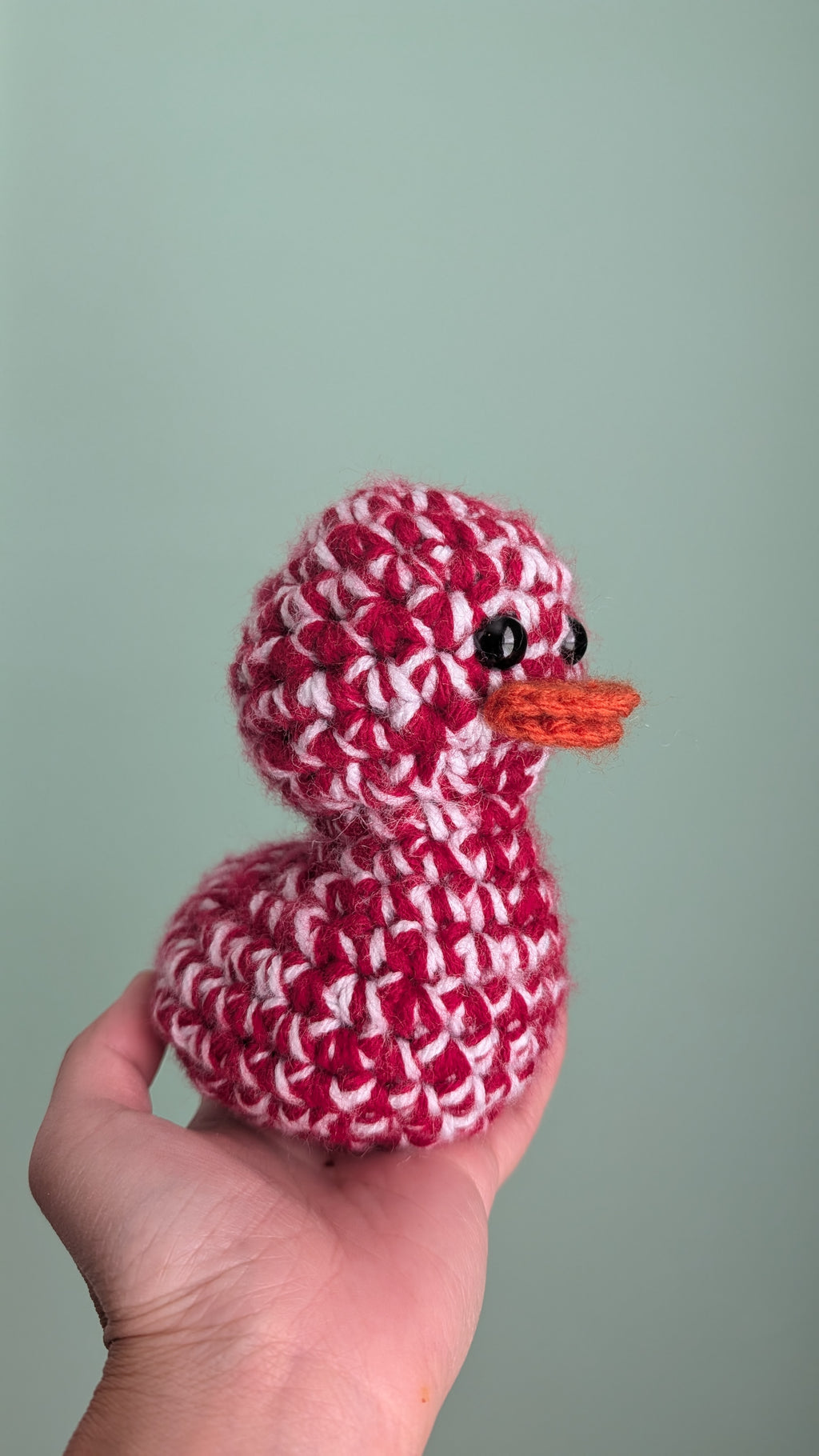 Arizona Duck