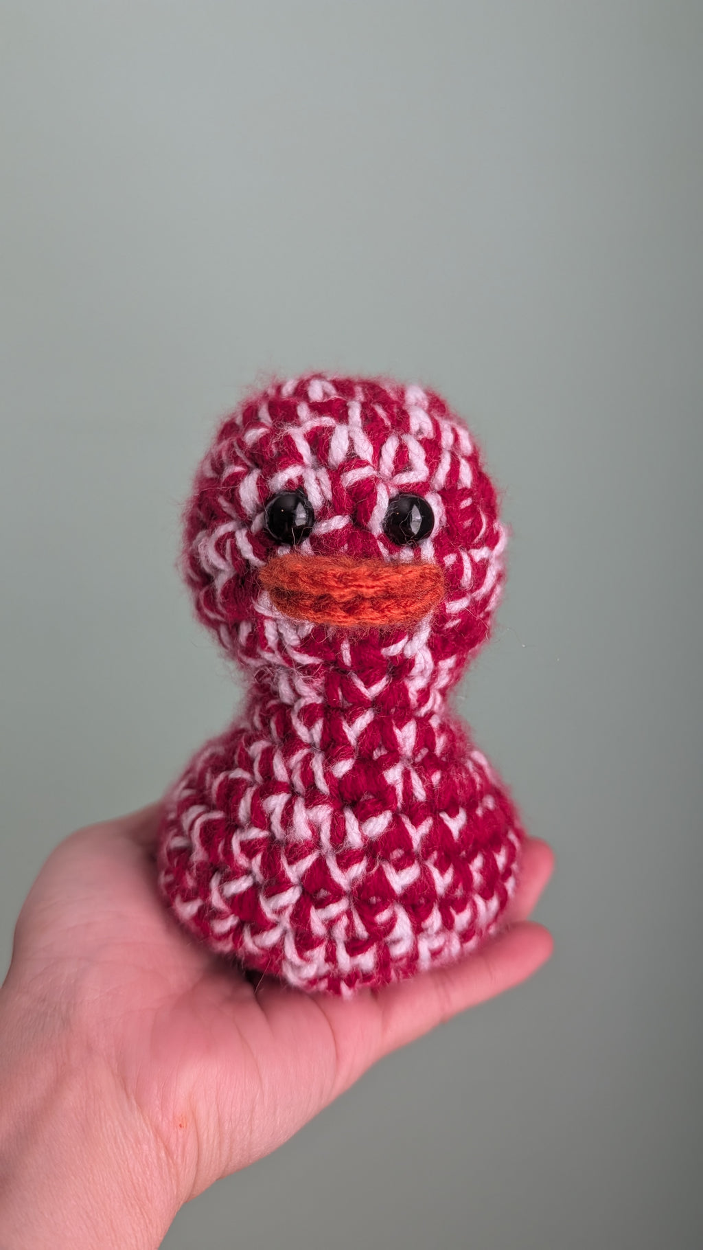 Arizona Duck