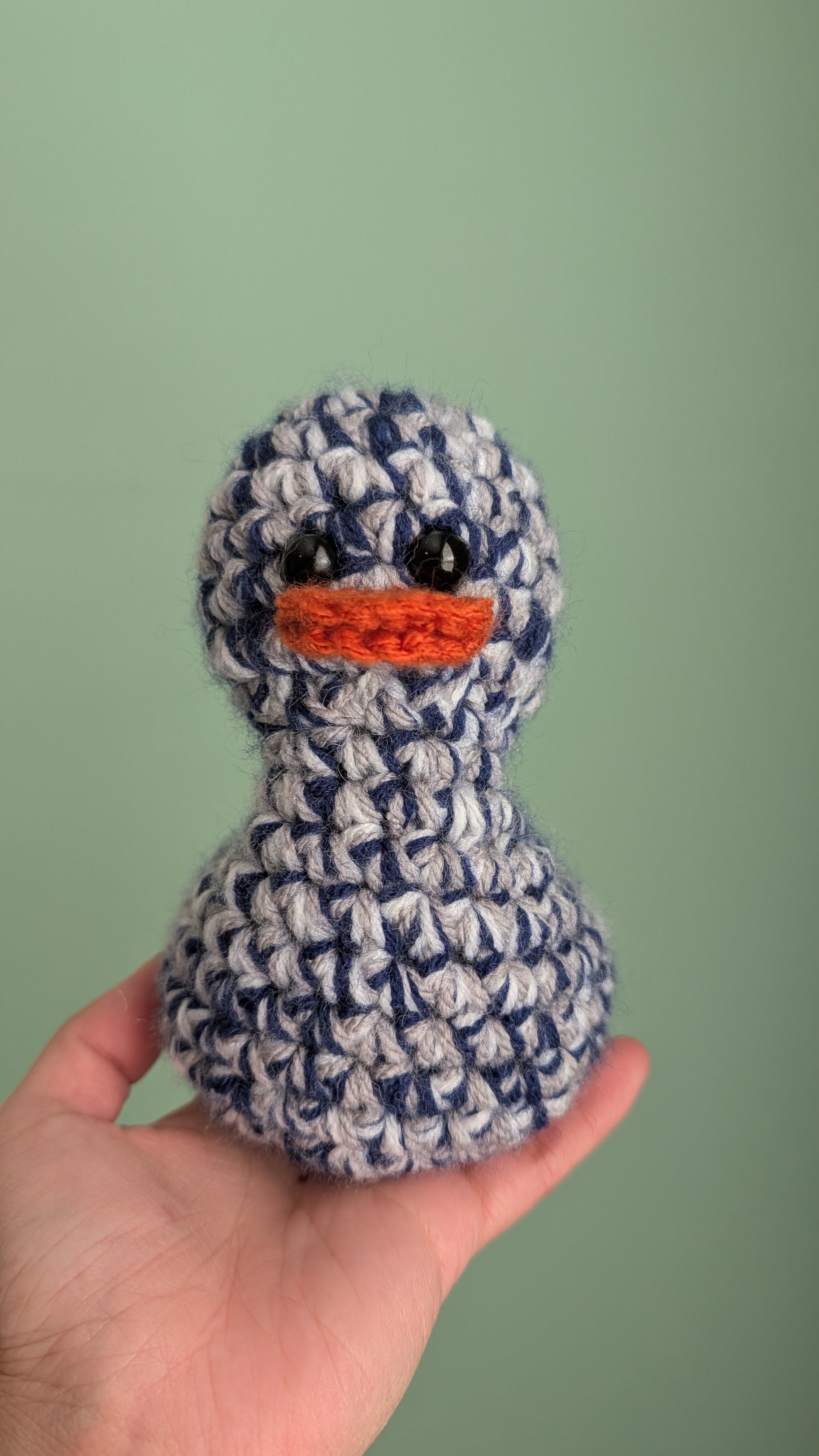 Dallas Duck