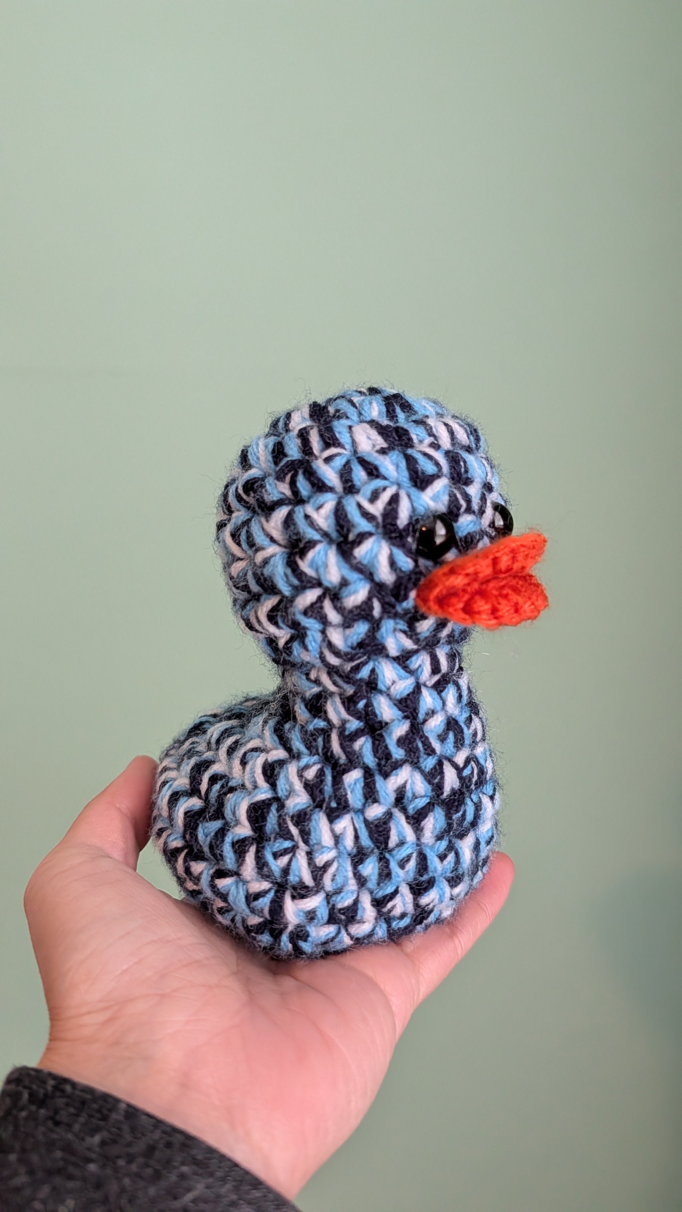 Tennessee Duck