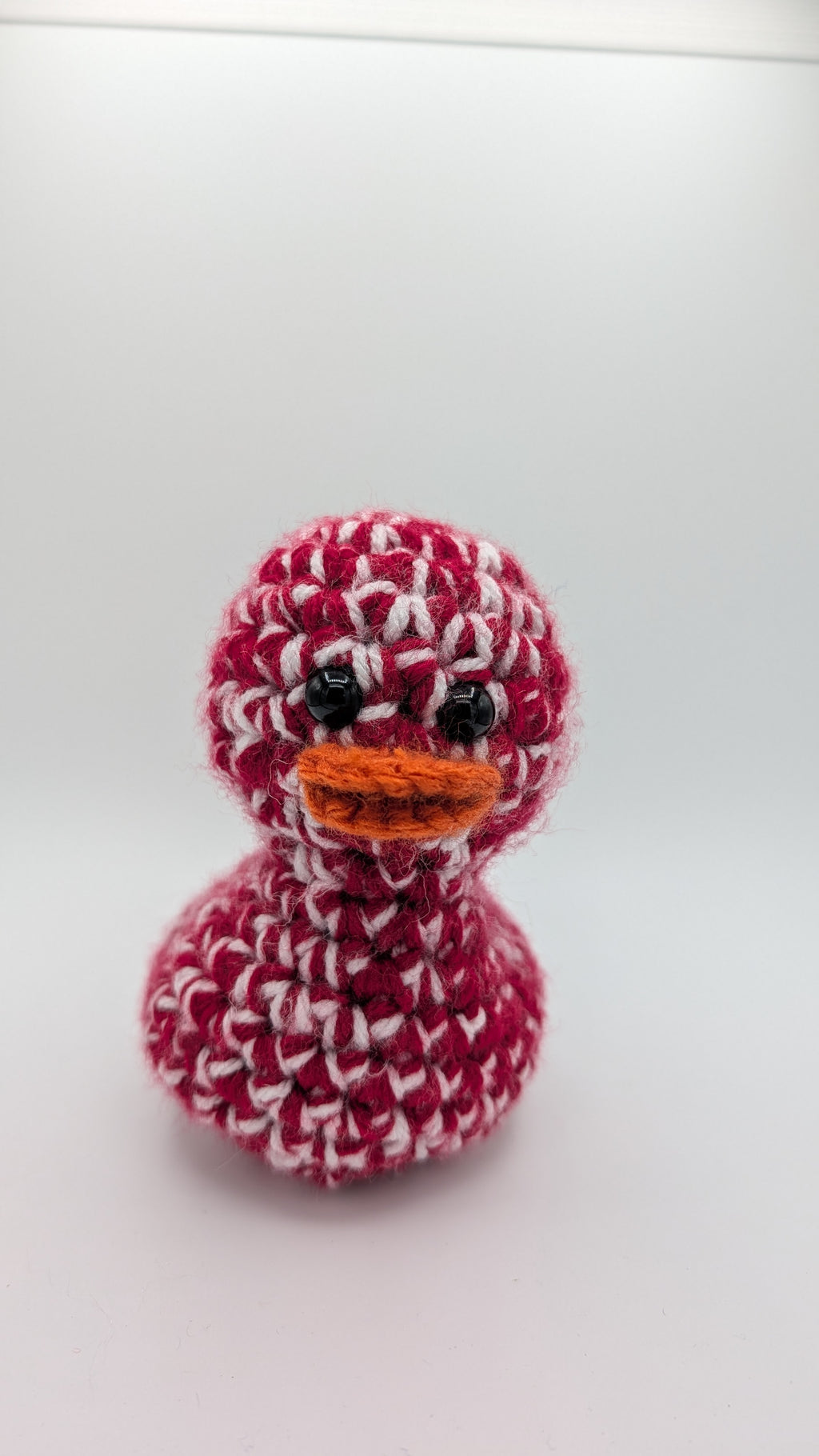 Arizona Duck