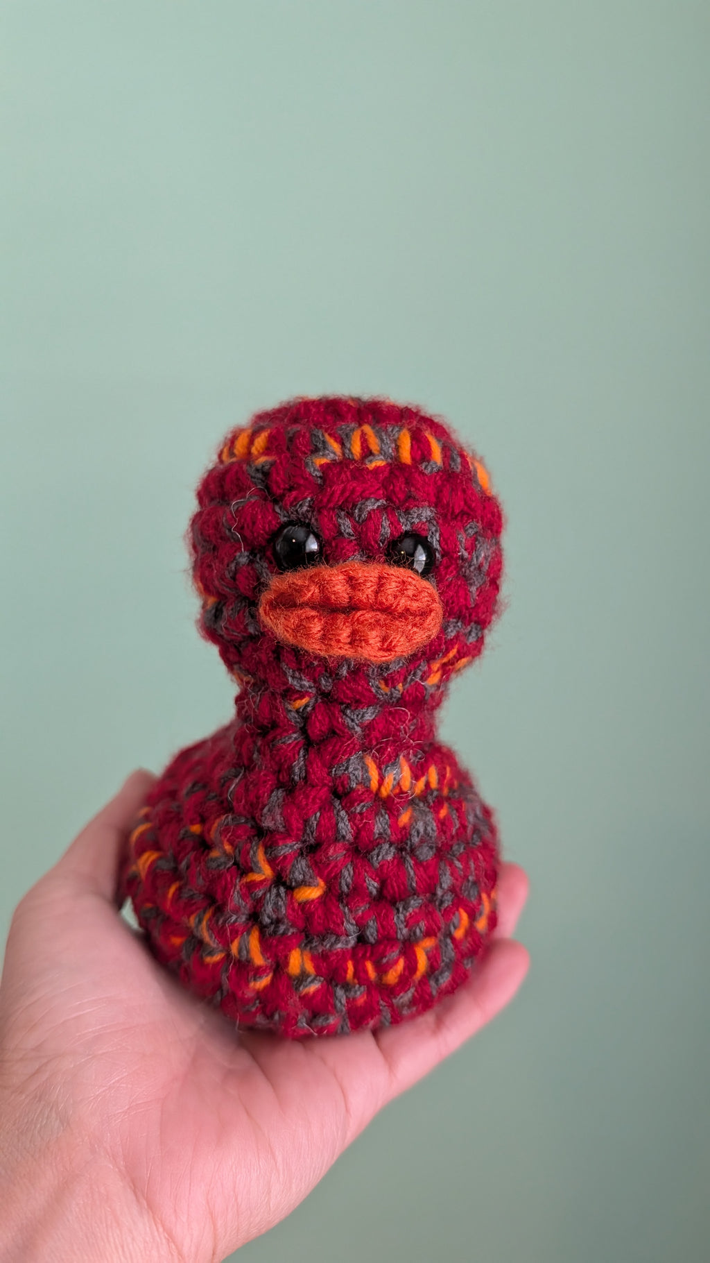 Tampa Bay Duck