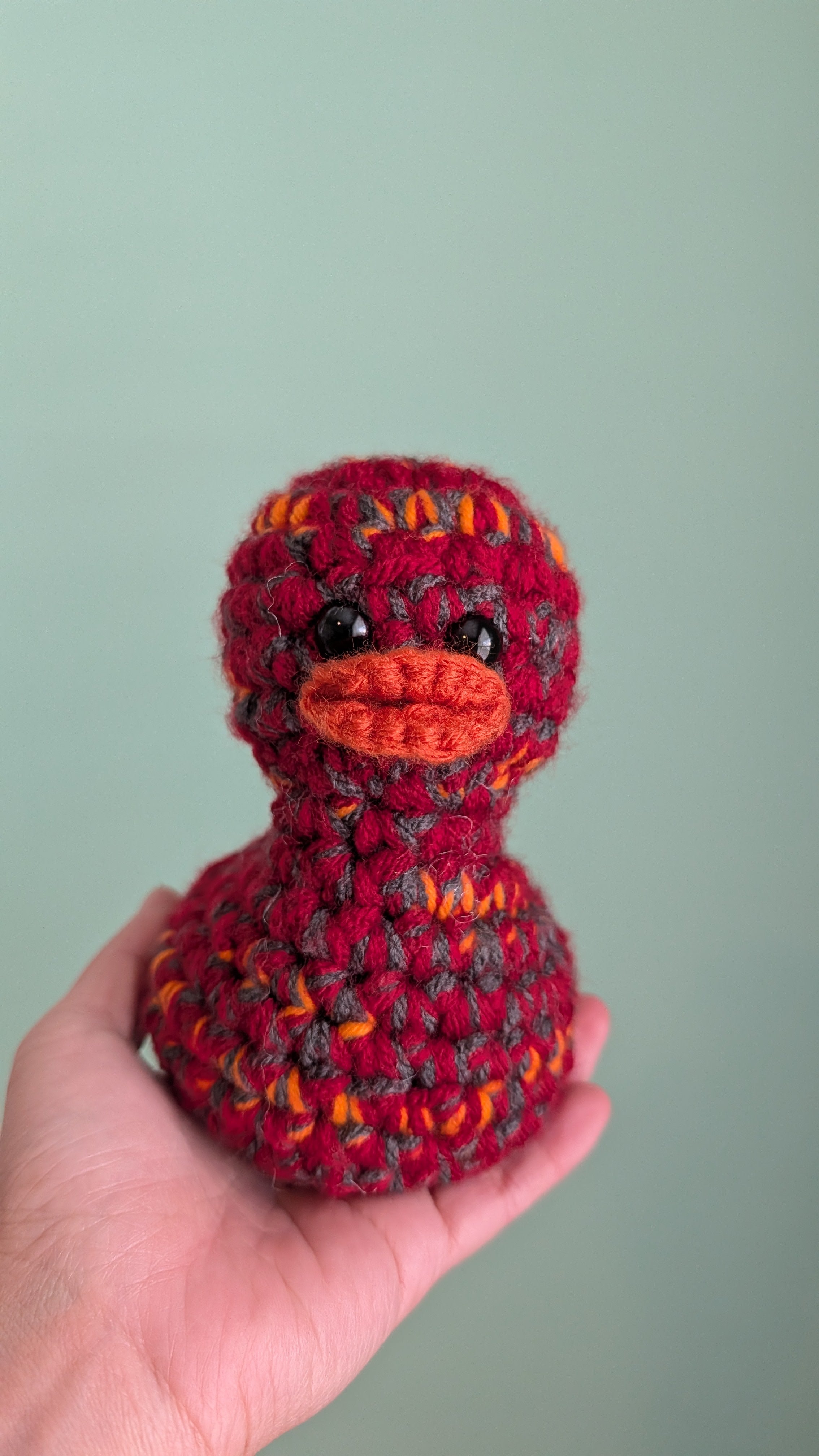 Tampa Bay Duck