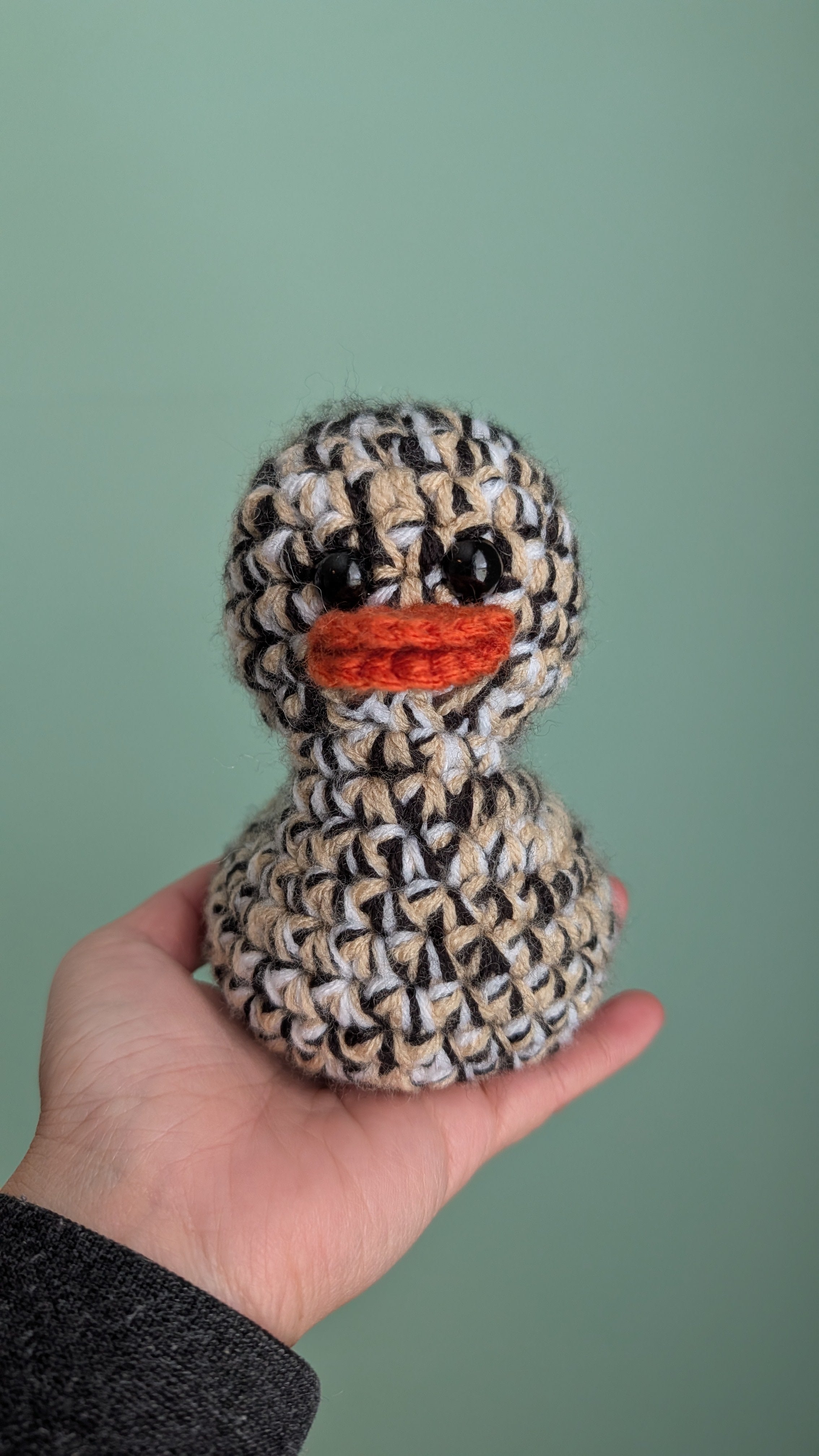 New Orleans Duck