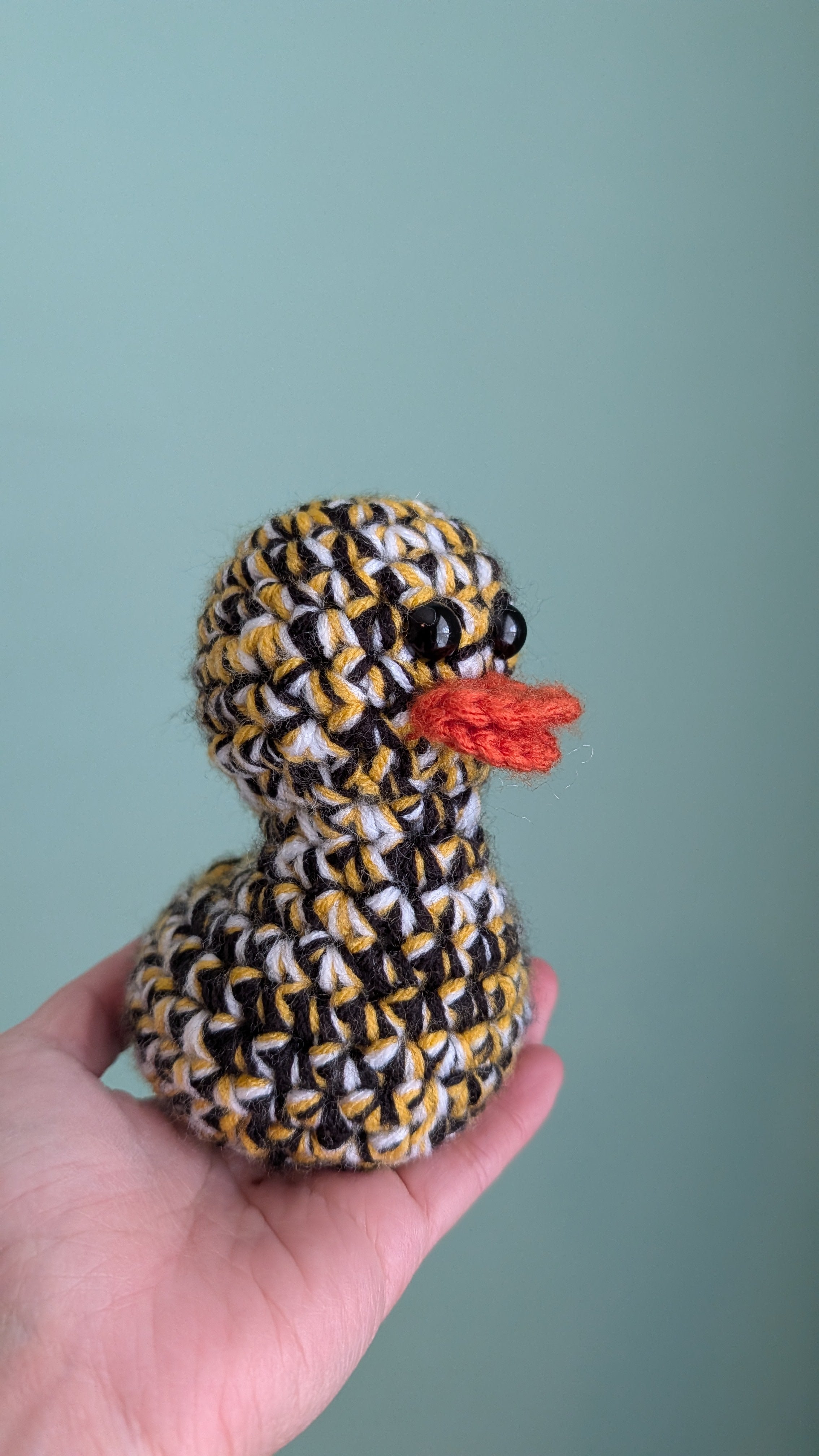Pittsburgh Duck