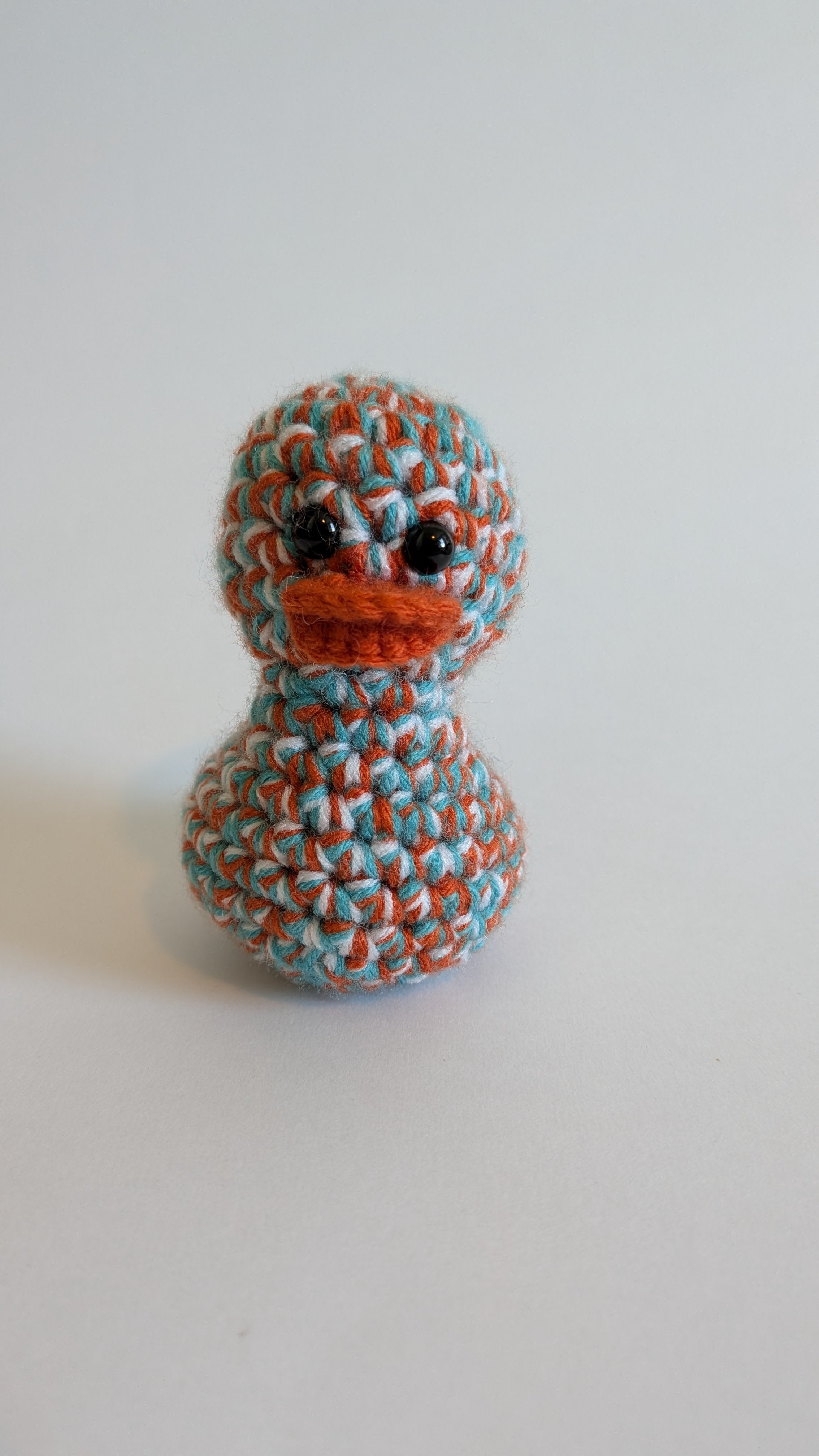 Miami Duck