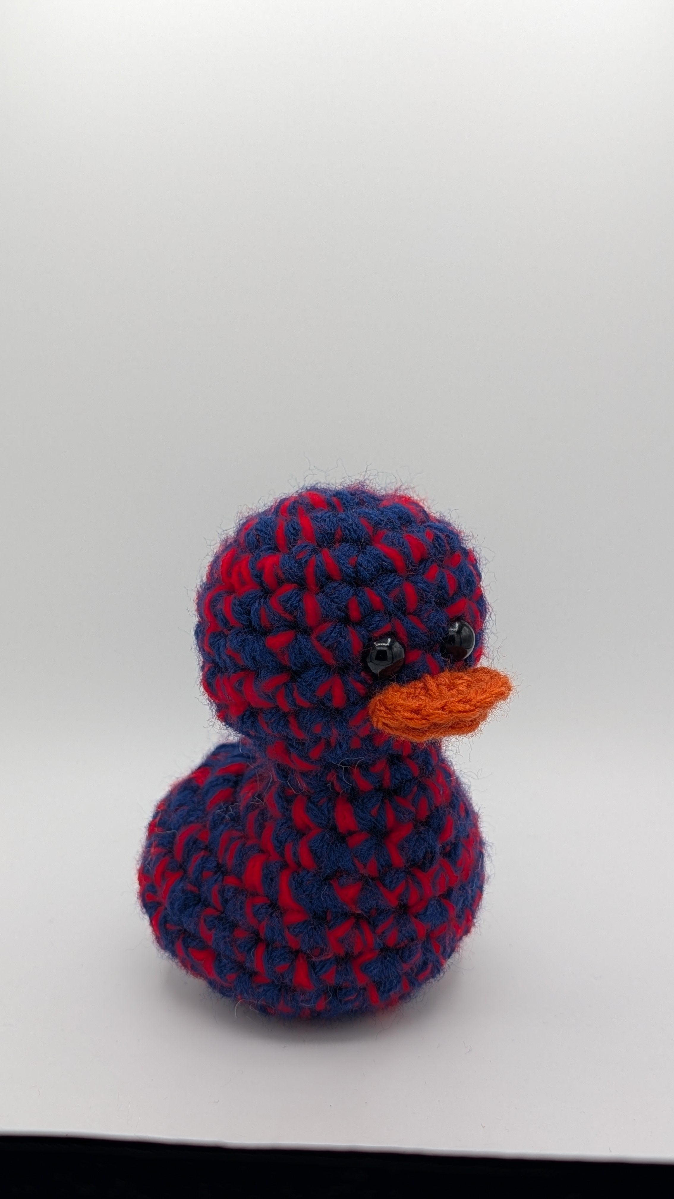 Houston Duck