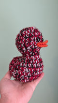 South Carolina Football Duck