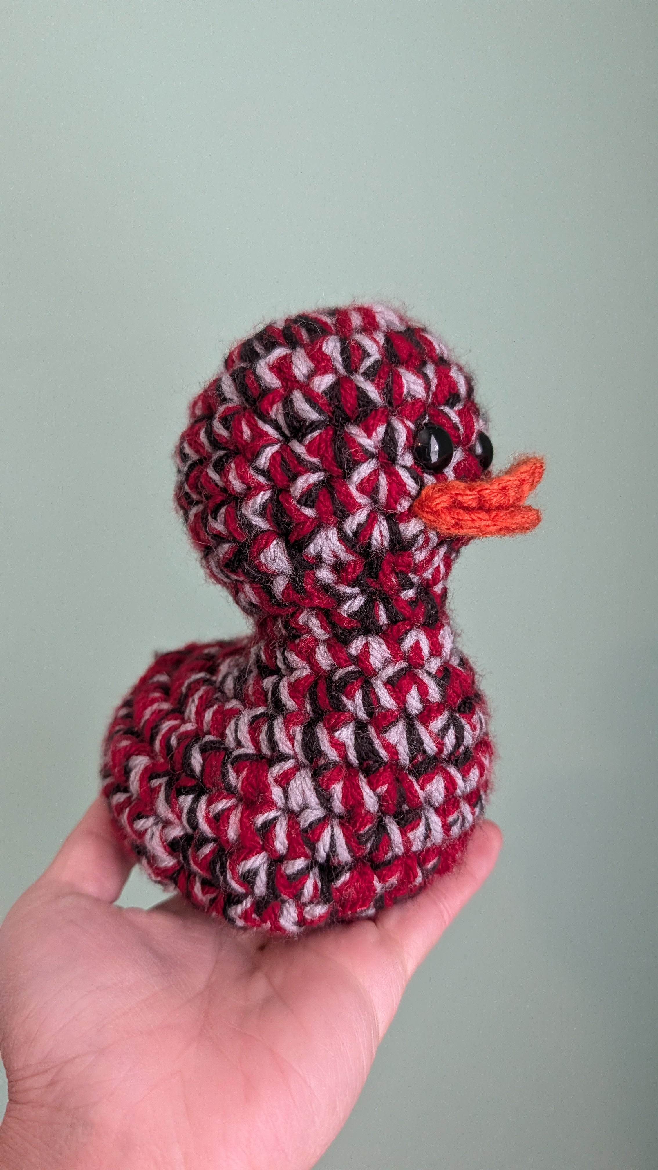 South Carolina Football Duck