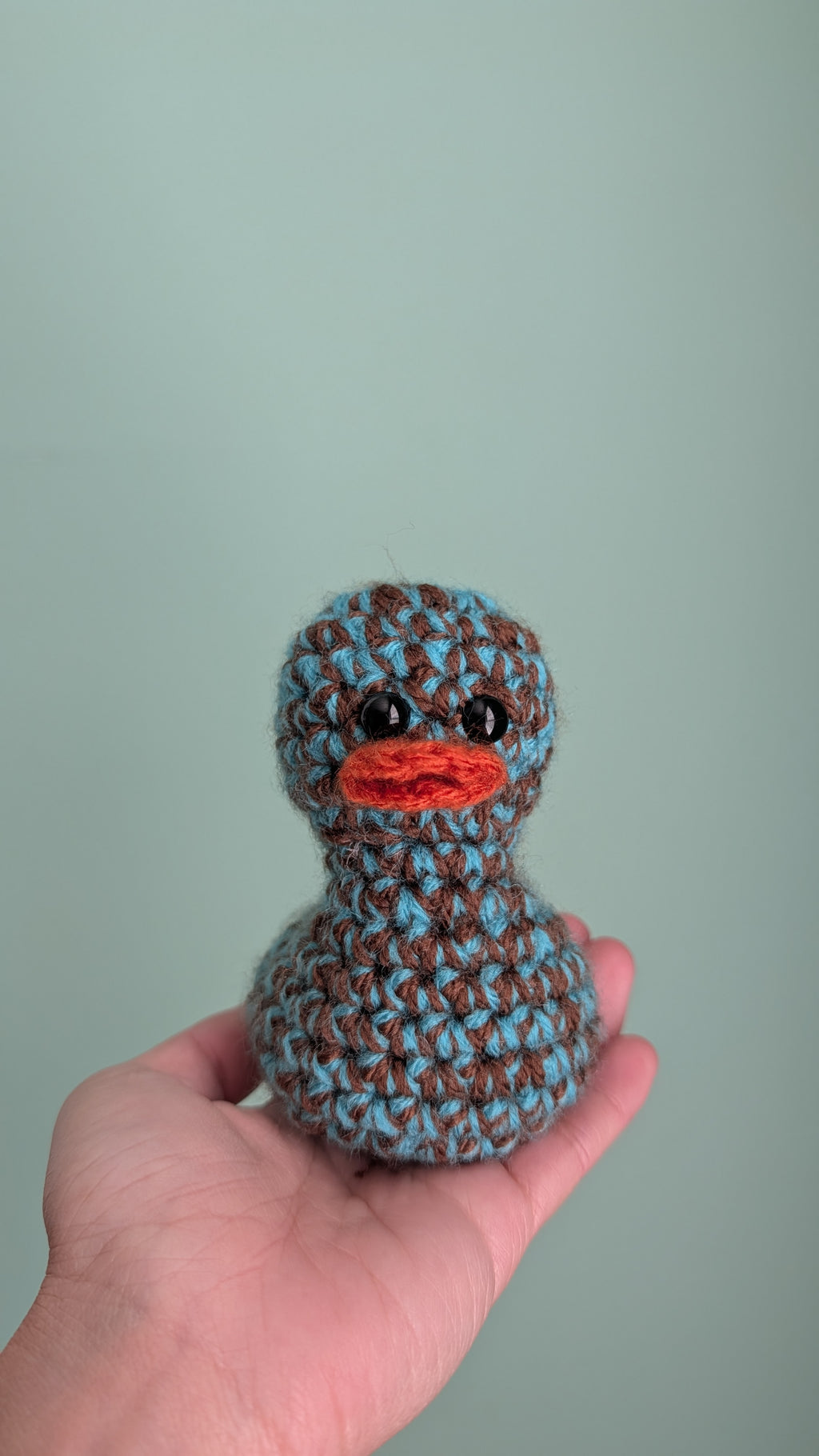 Brown & Teal