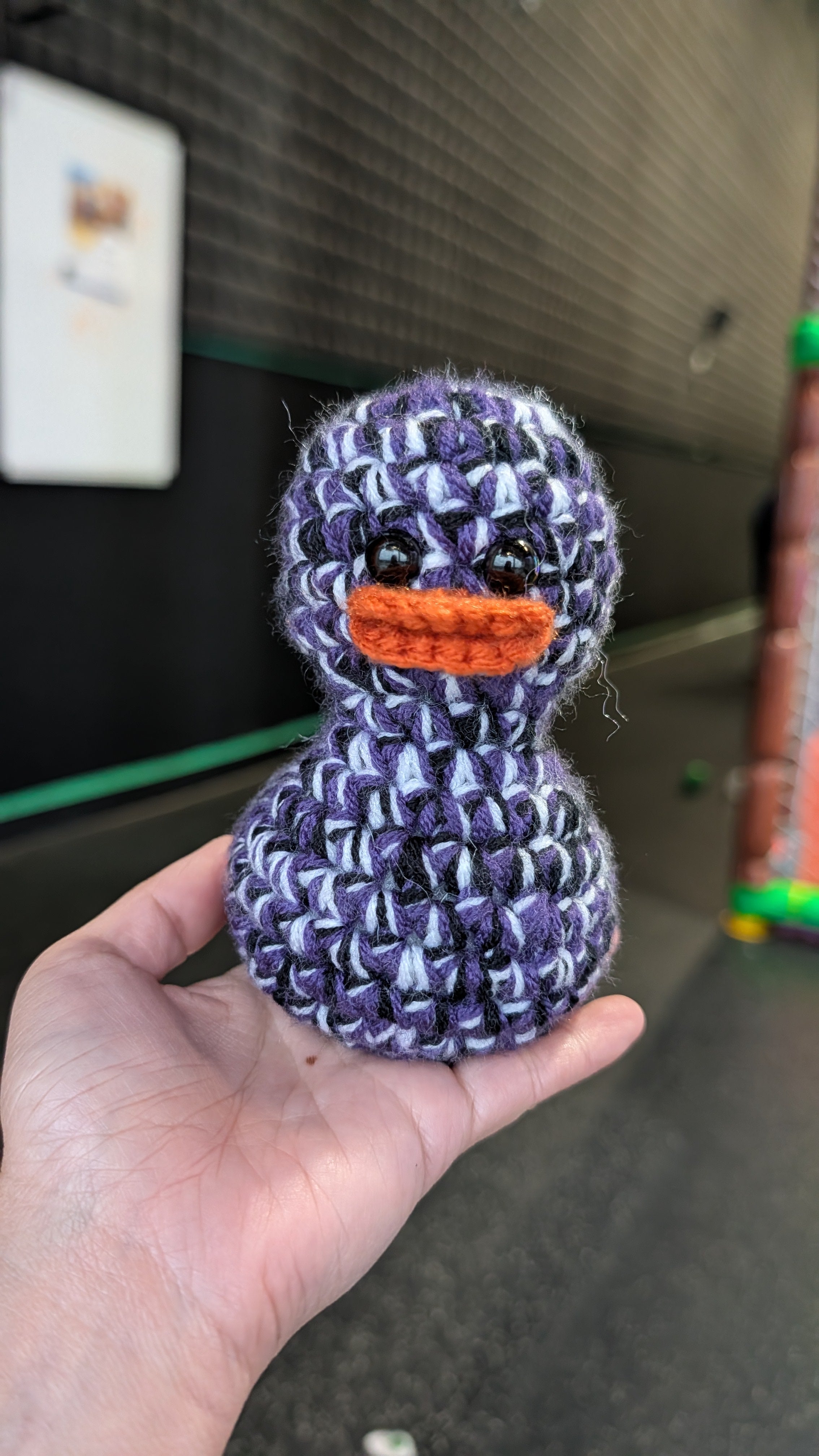 Baltimore Duck