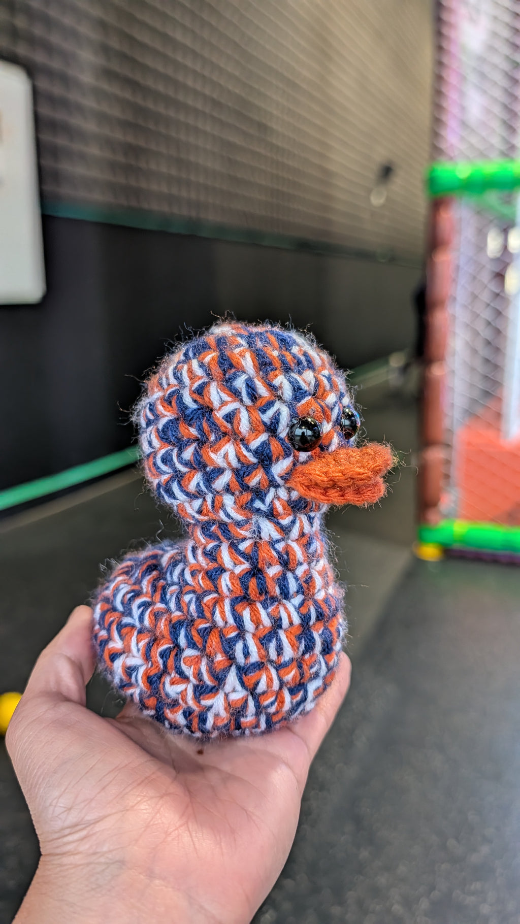 Chicago Duck