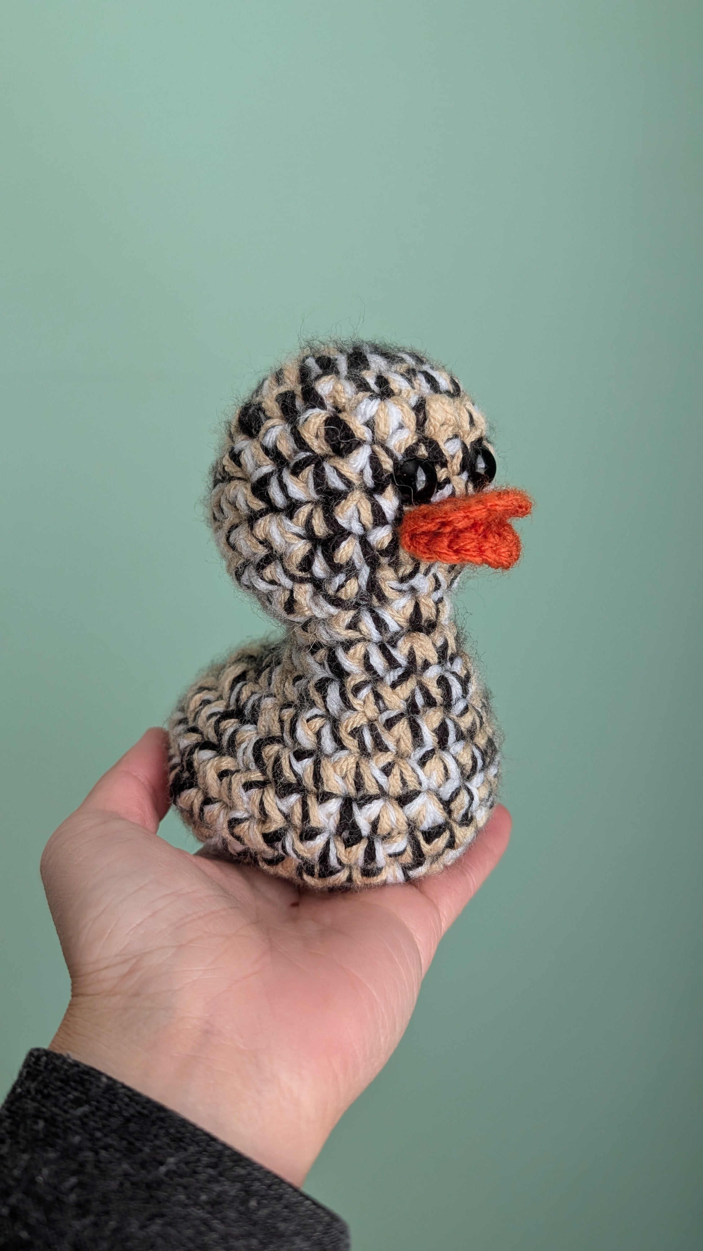 New Orleans Duck