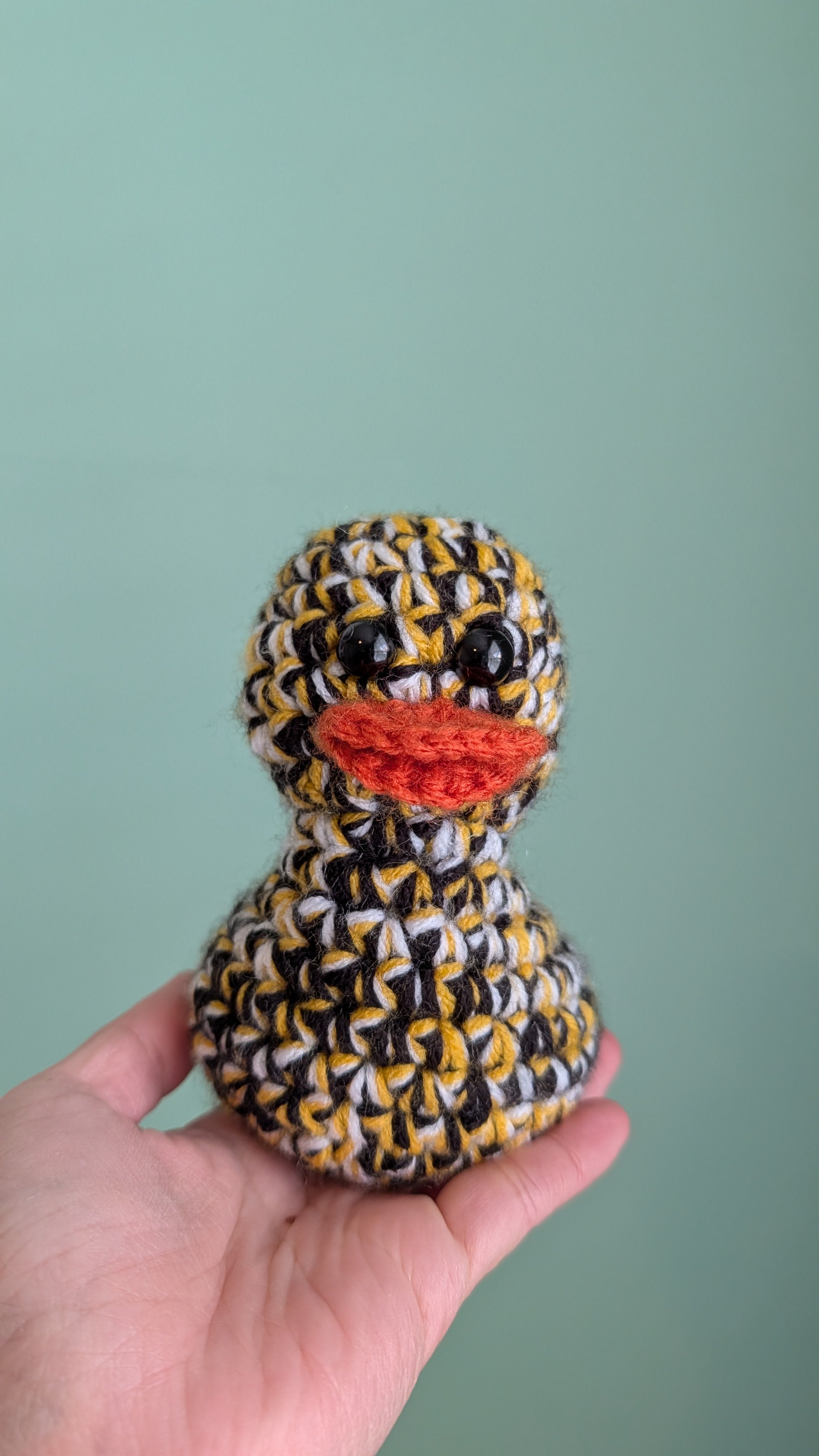 Pittsburgh Duck