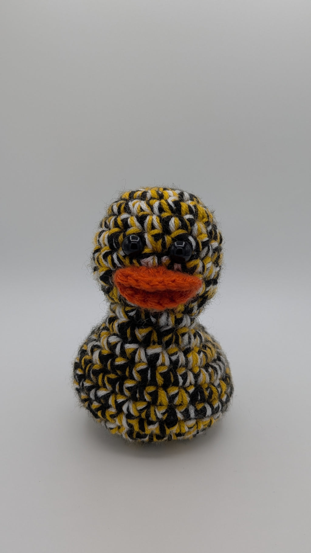Pittsburgh Duck