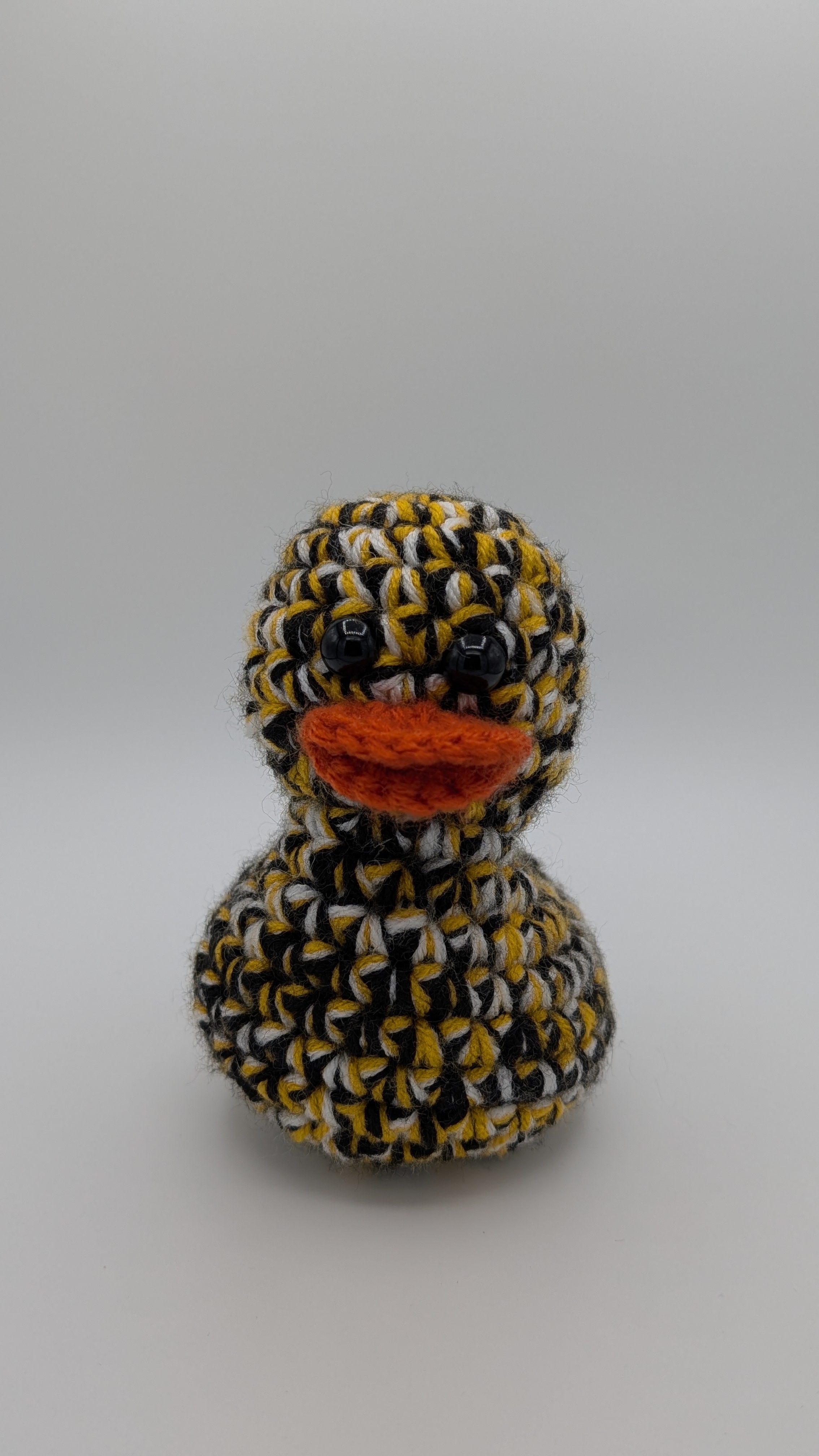 Pittsburgh Duck