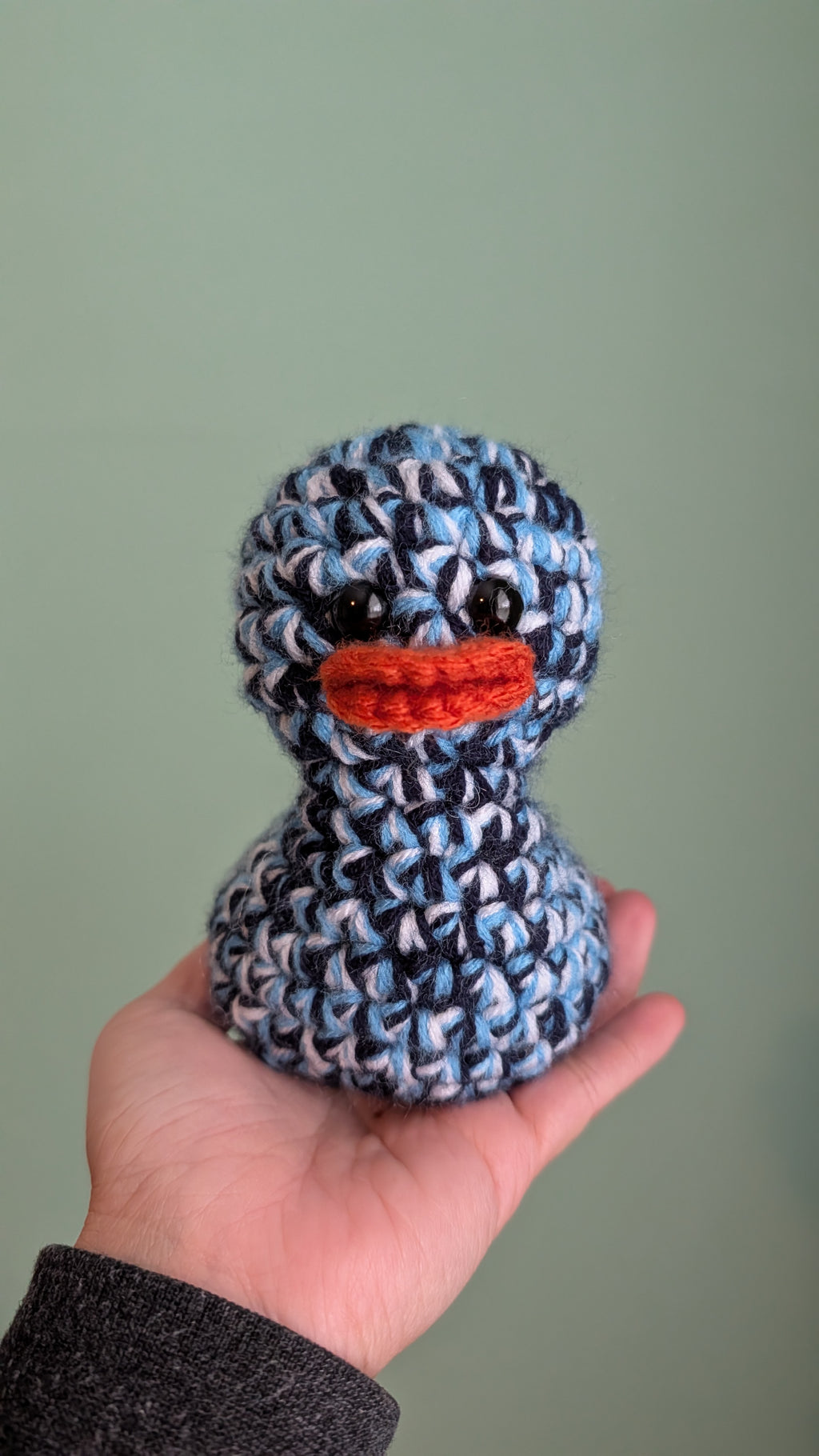 Tennessee Duck