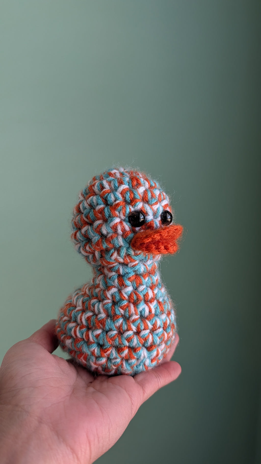 Miami Duck