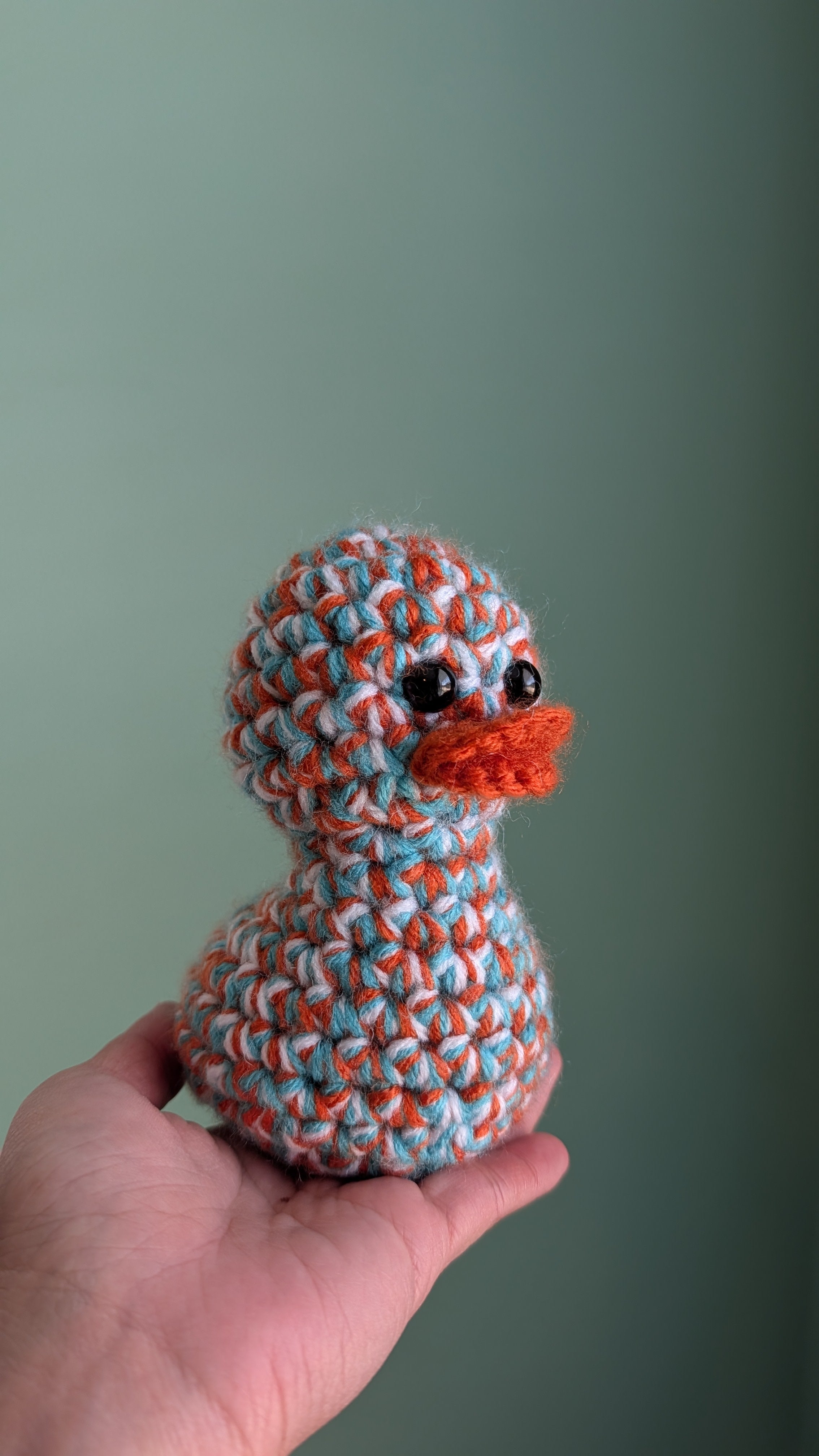 Miami Duck