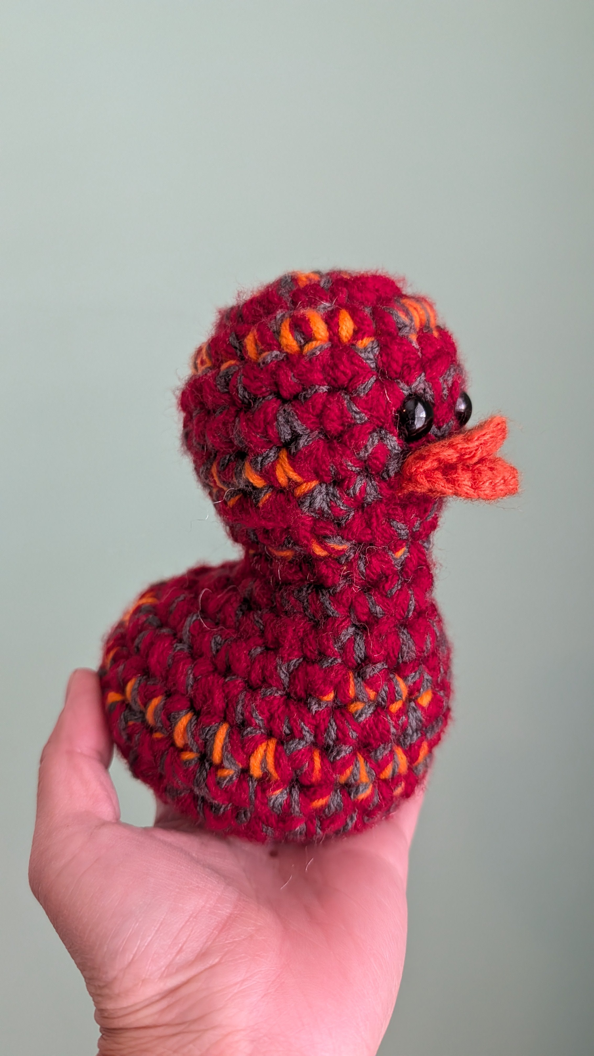 Tampa Bay Duck