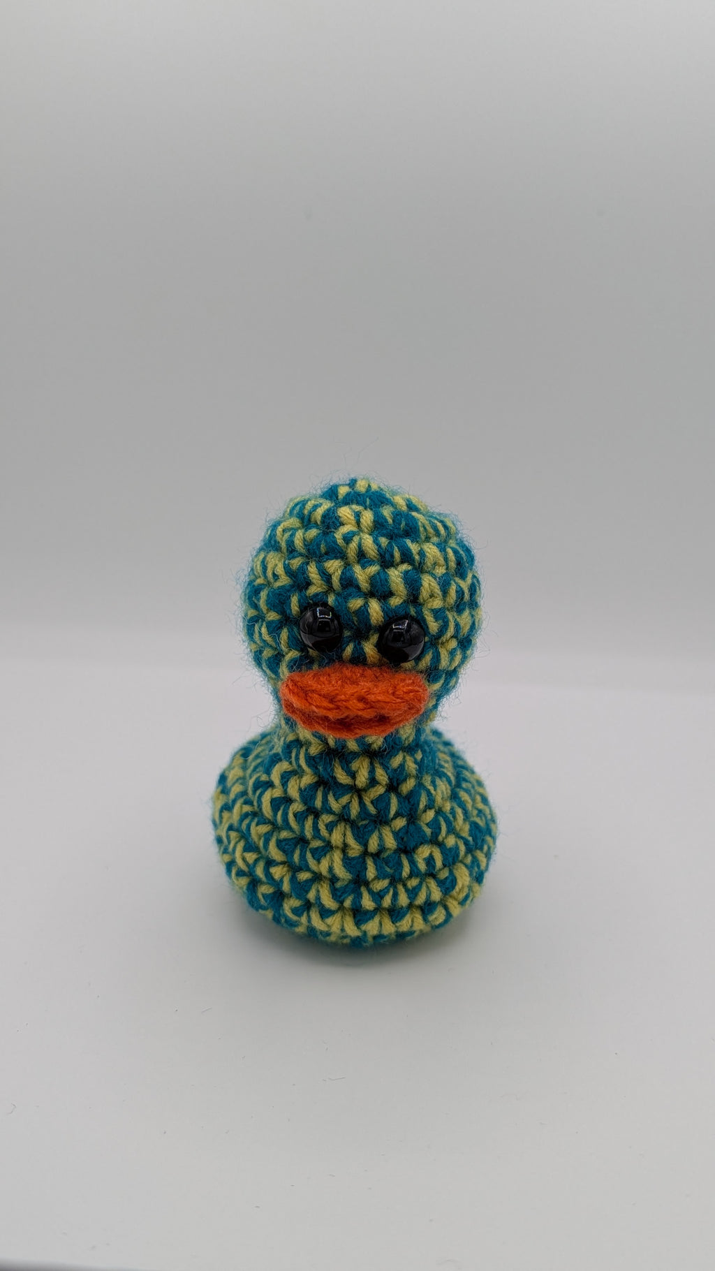 Teal & Yellow