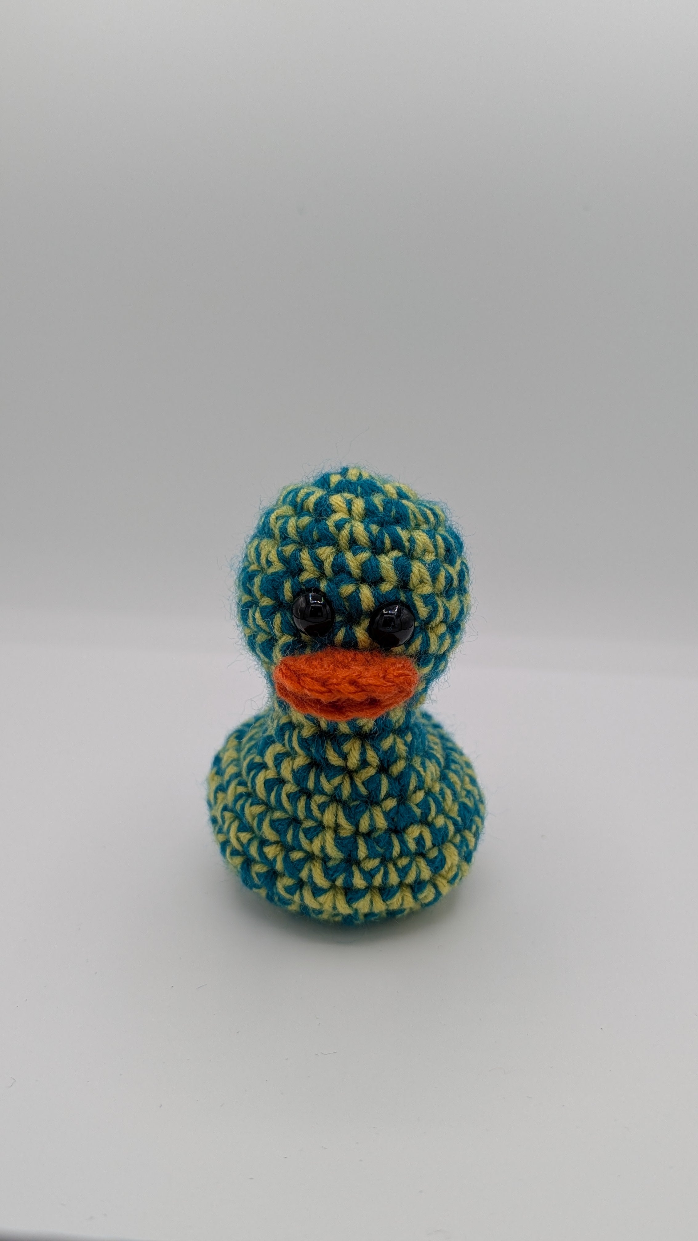 Teal & Yellow